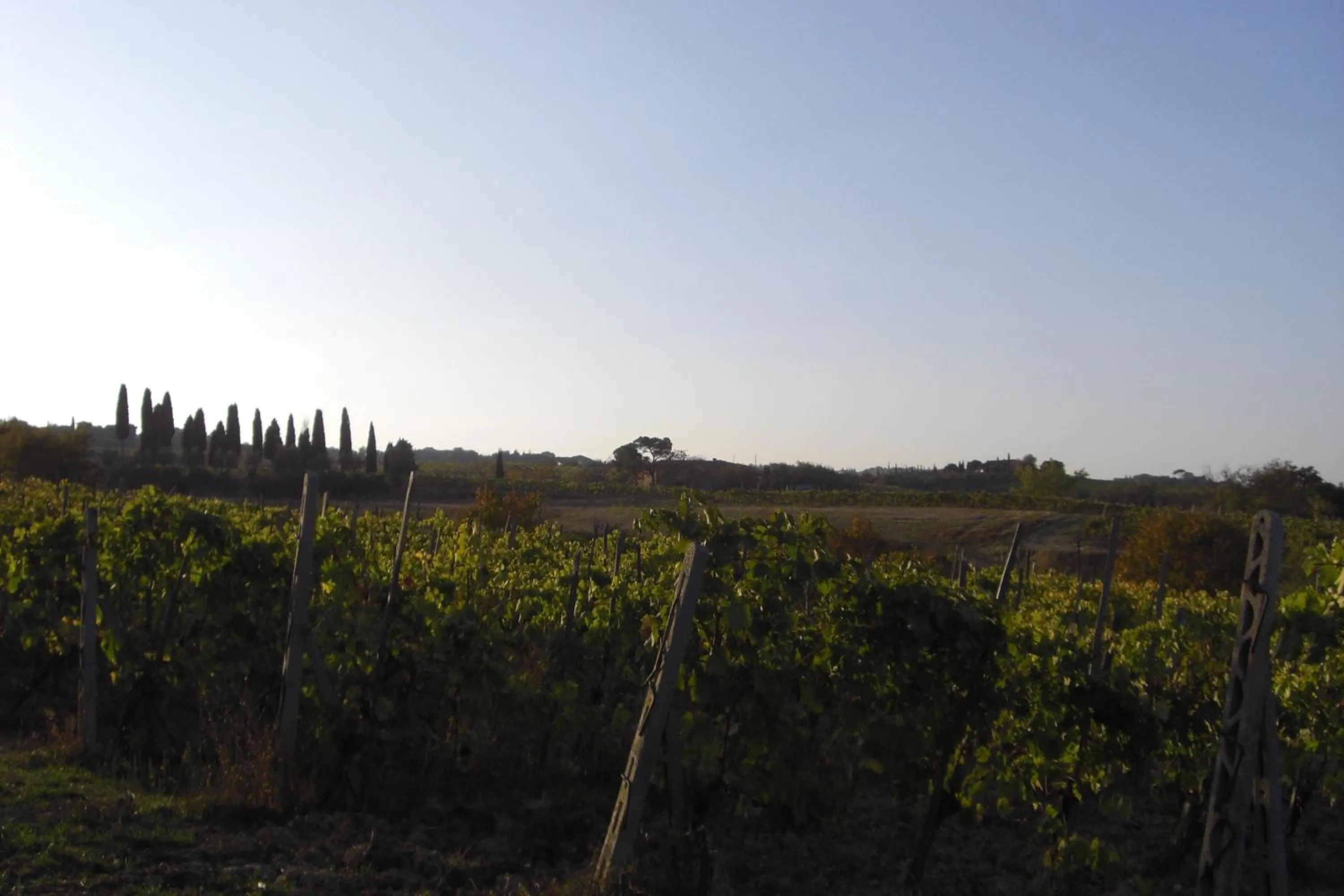 Day in Tenuta Santagnese