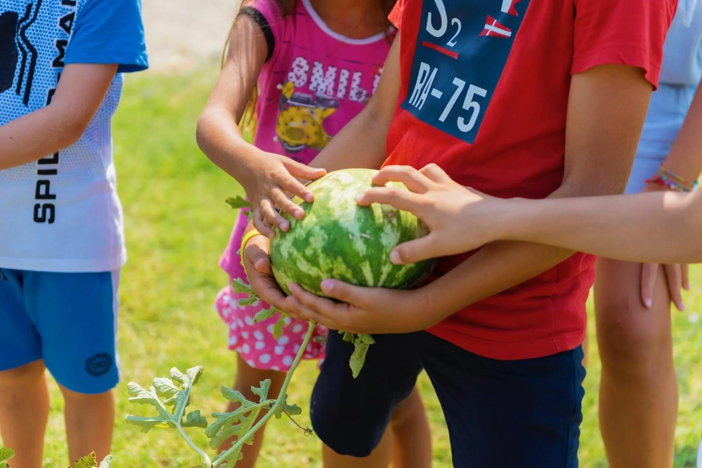 Activities in SeaPark SPA Resort