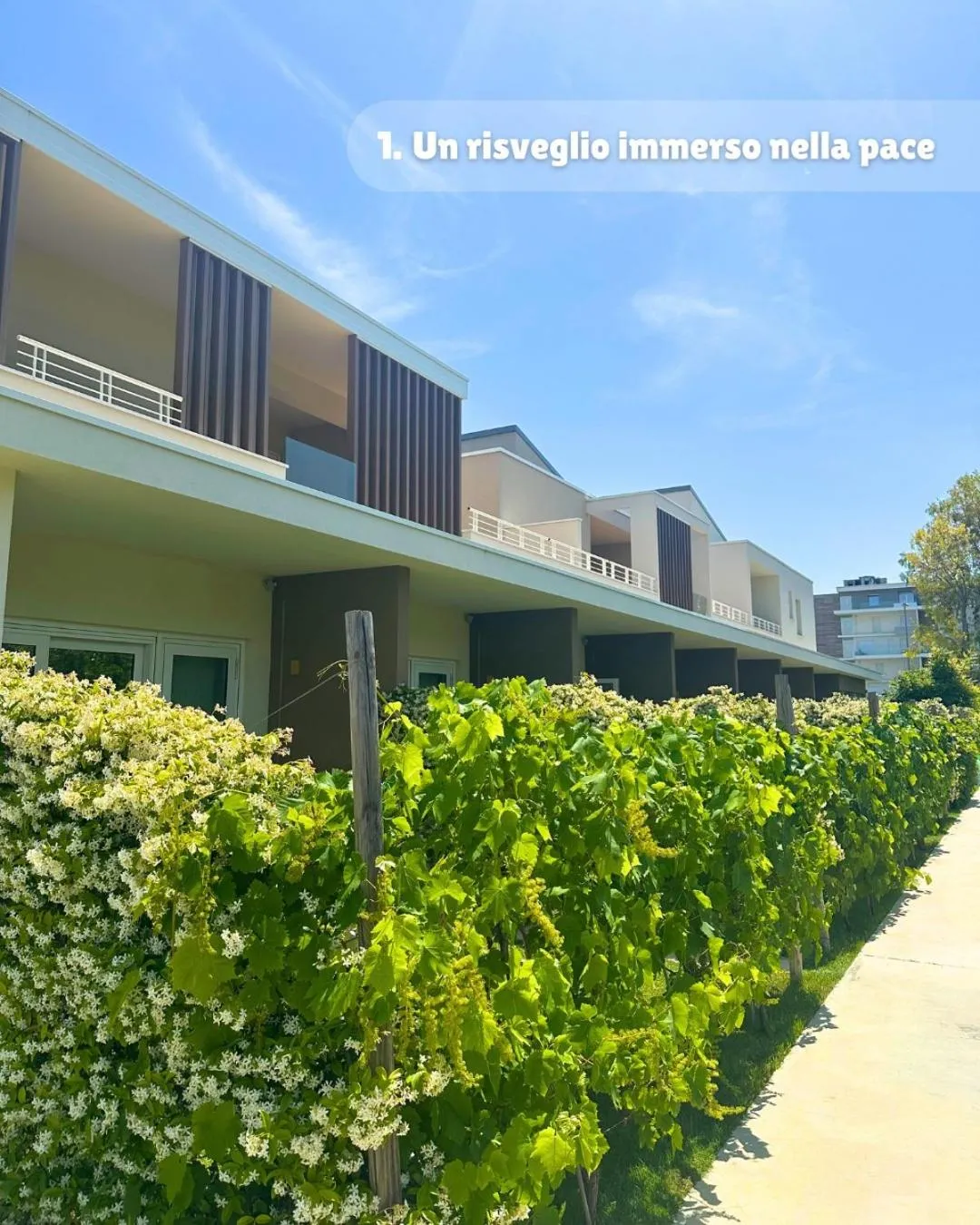 Property building in SeaPark SPA Resort