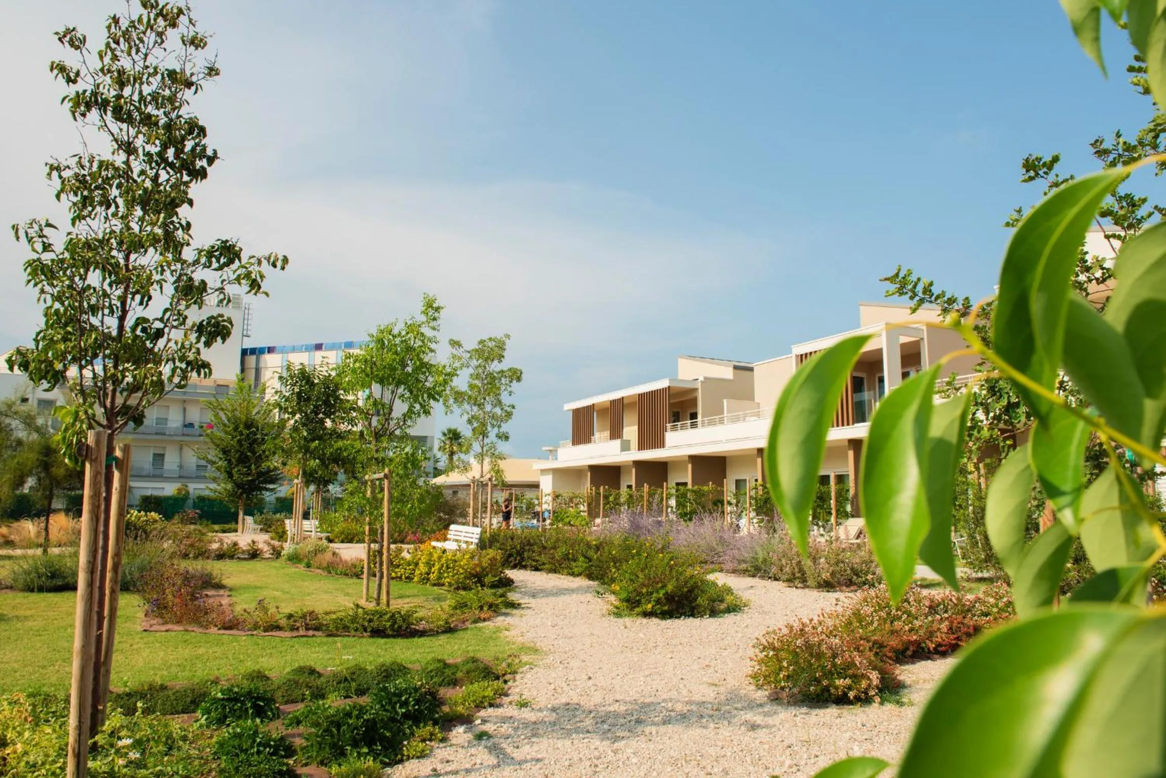 Garden in SeaPark SPA Resort