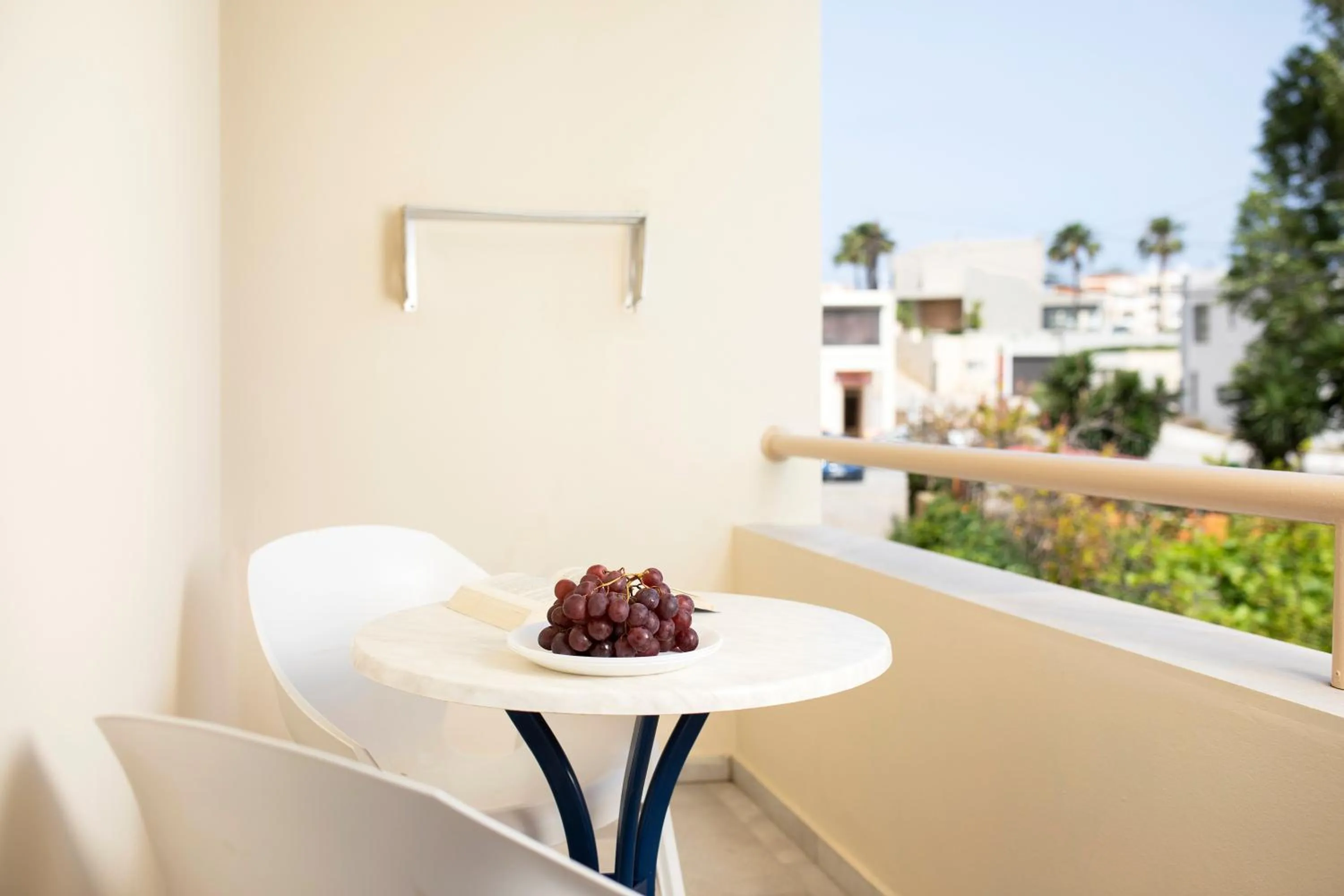 Balcony/Terrace in Elma's Dream Apartments & Villas