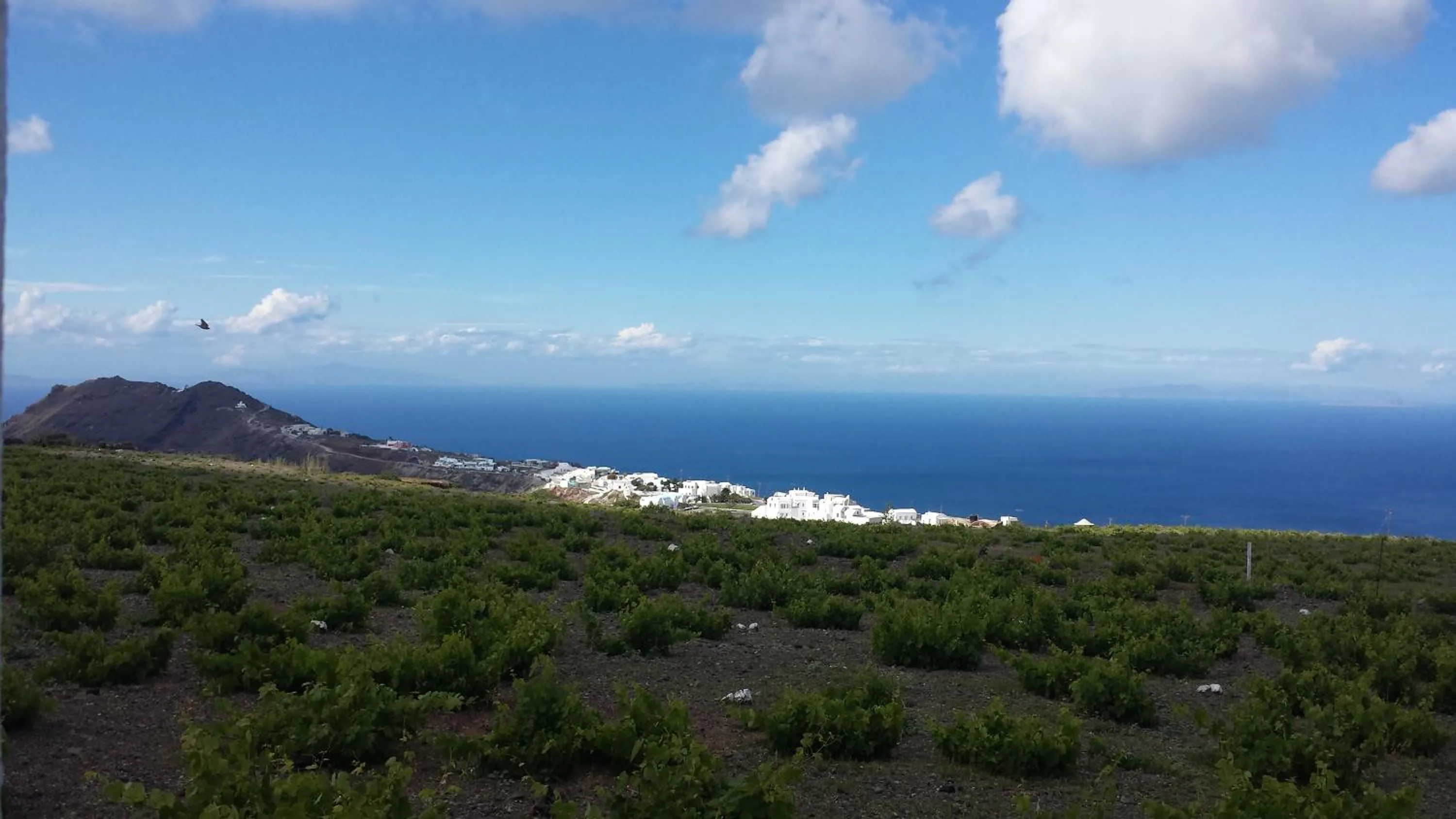 Day in Villa Happening