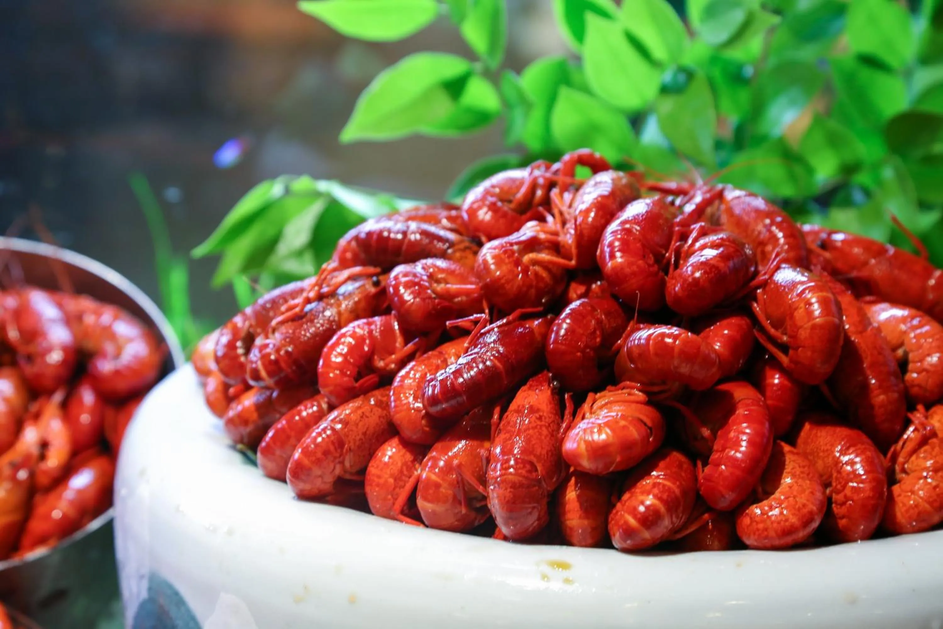 Restaurant/places to eat in HUALUXE Wuxi Taihu