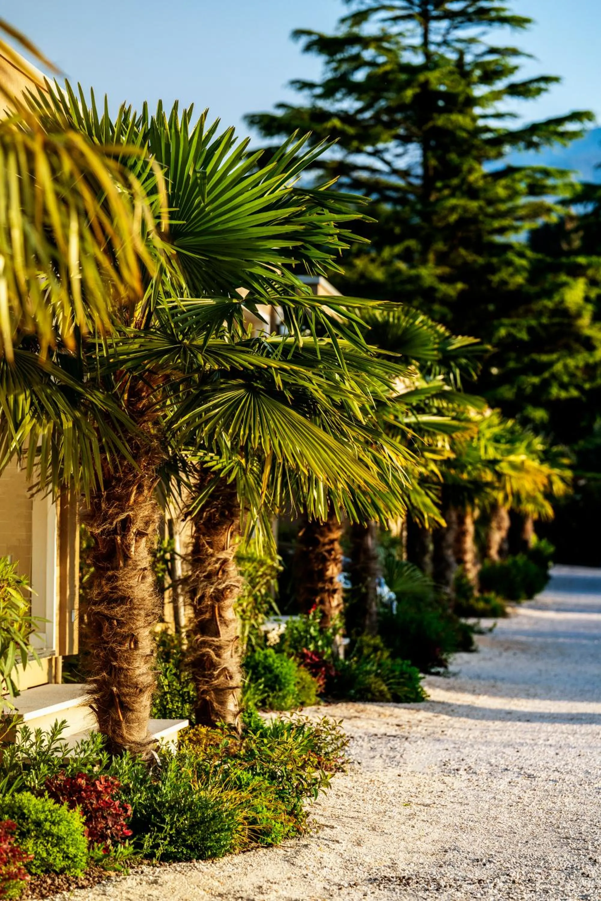 Garden in Onda Blu Resort