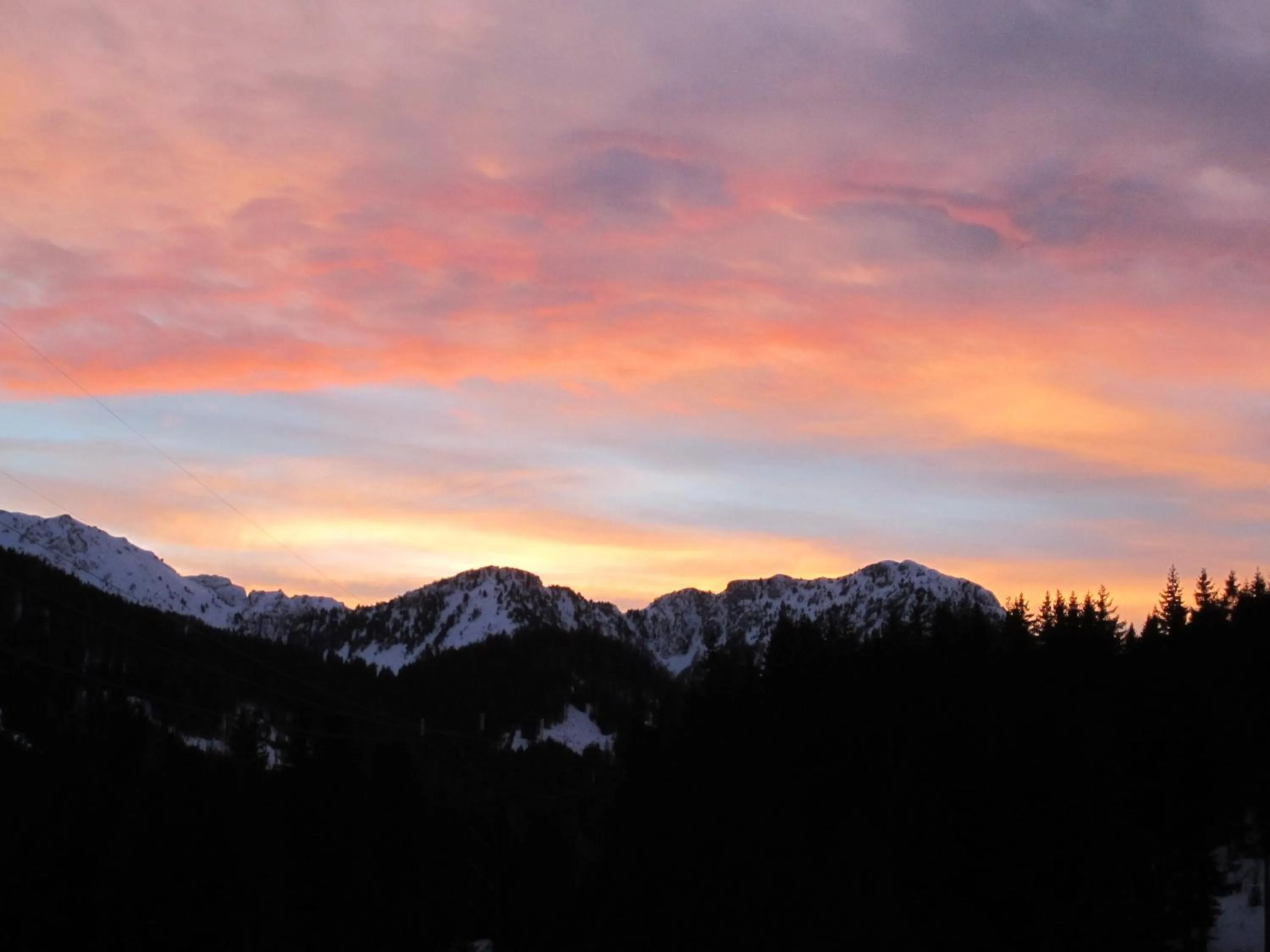 Area and facilities in Hotel Bucaneve