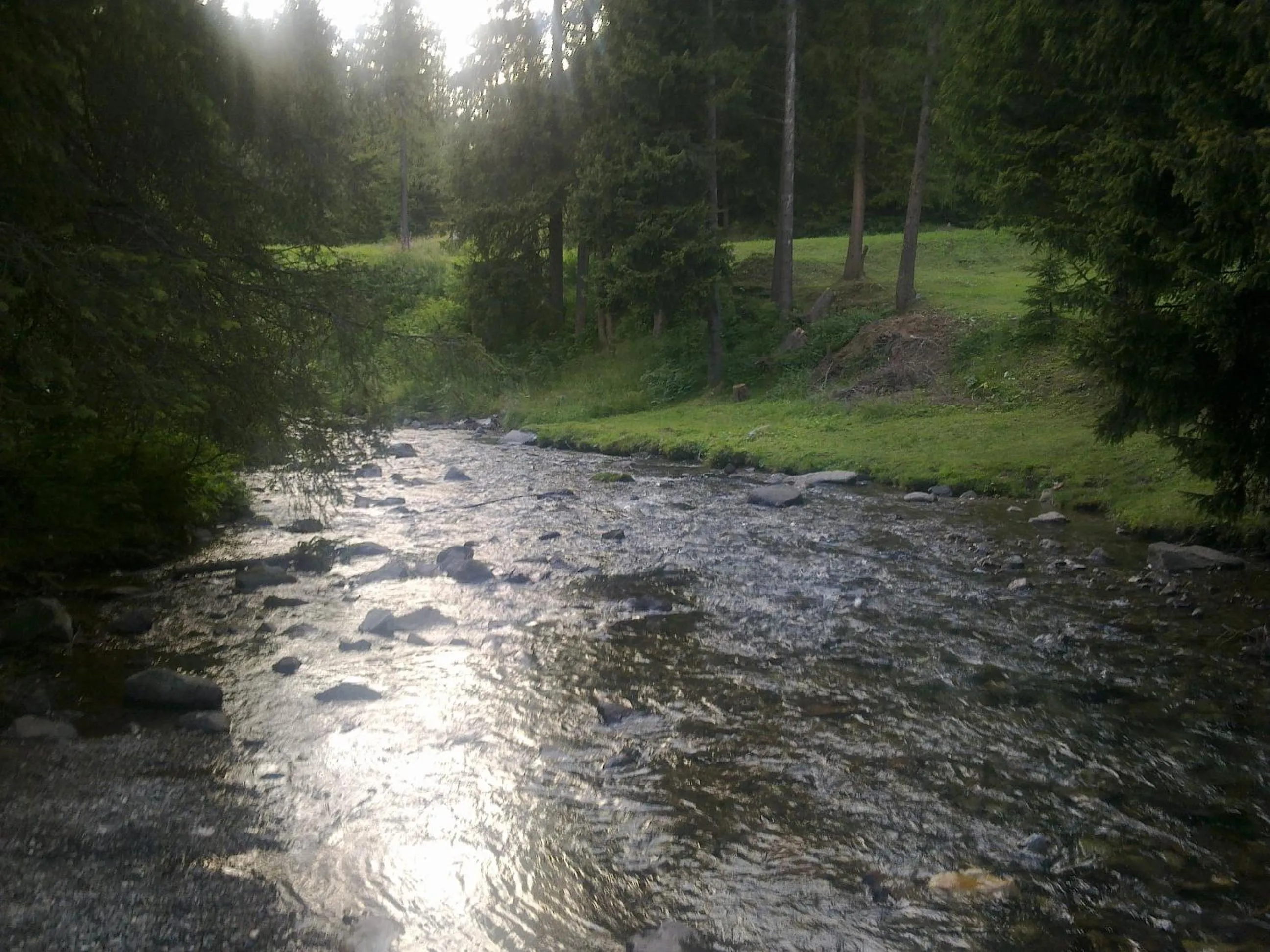 Area and facilities in Hotel Bucaneve