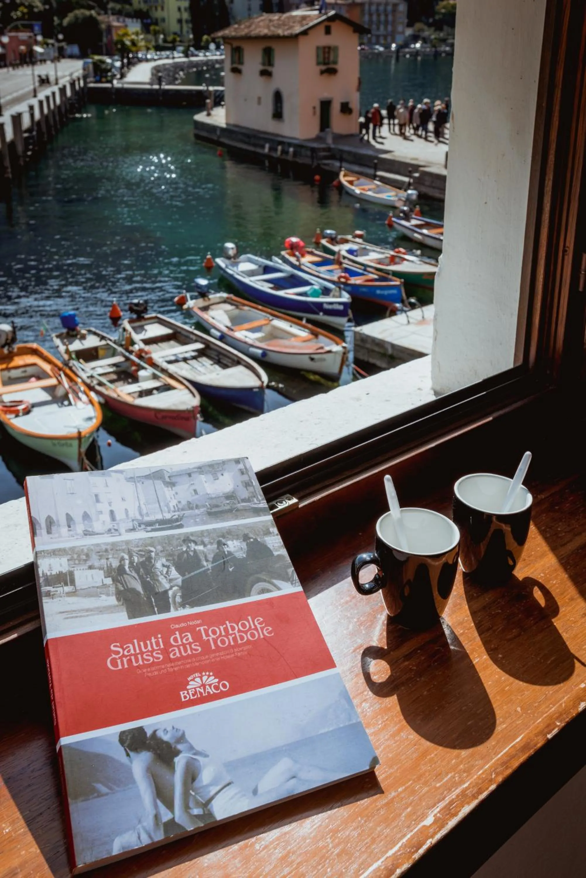 Lake view in Lake Hotel Benaco