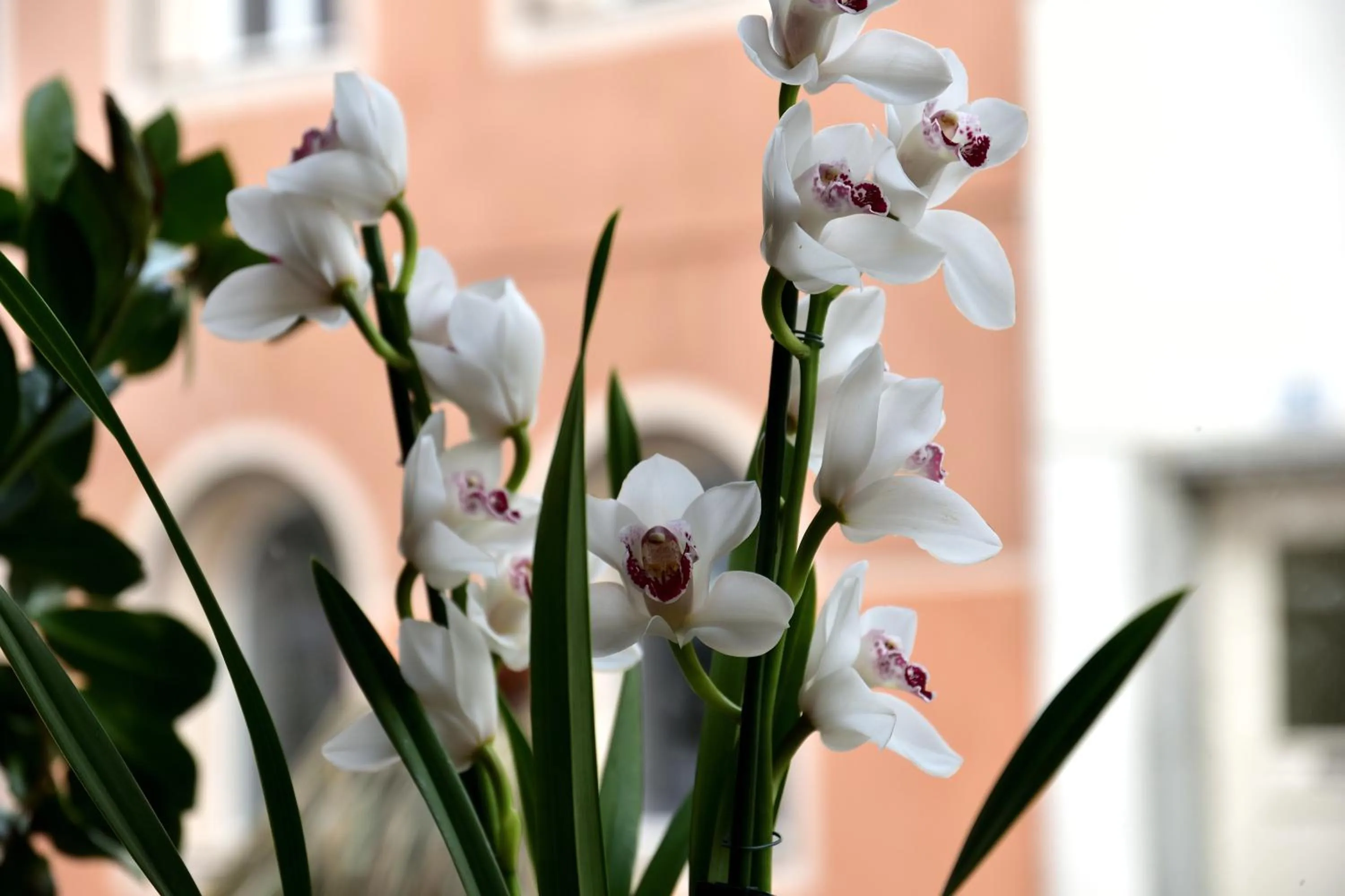 Lobby or reception in Hotel Krone