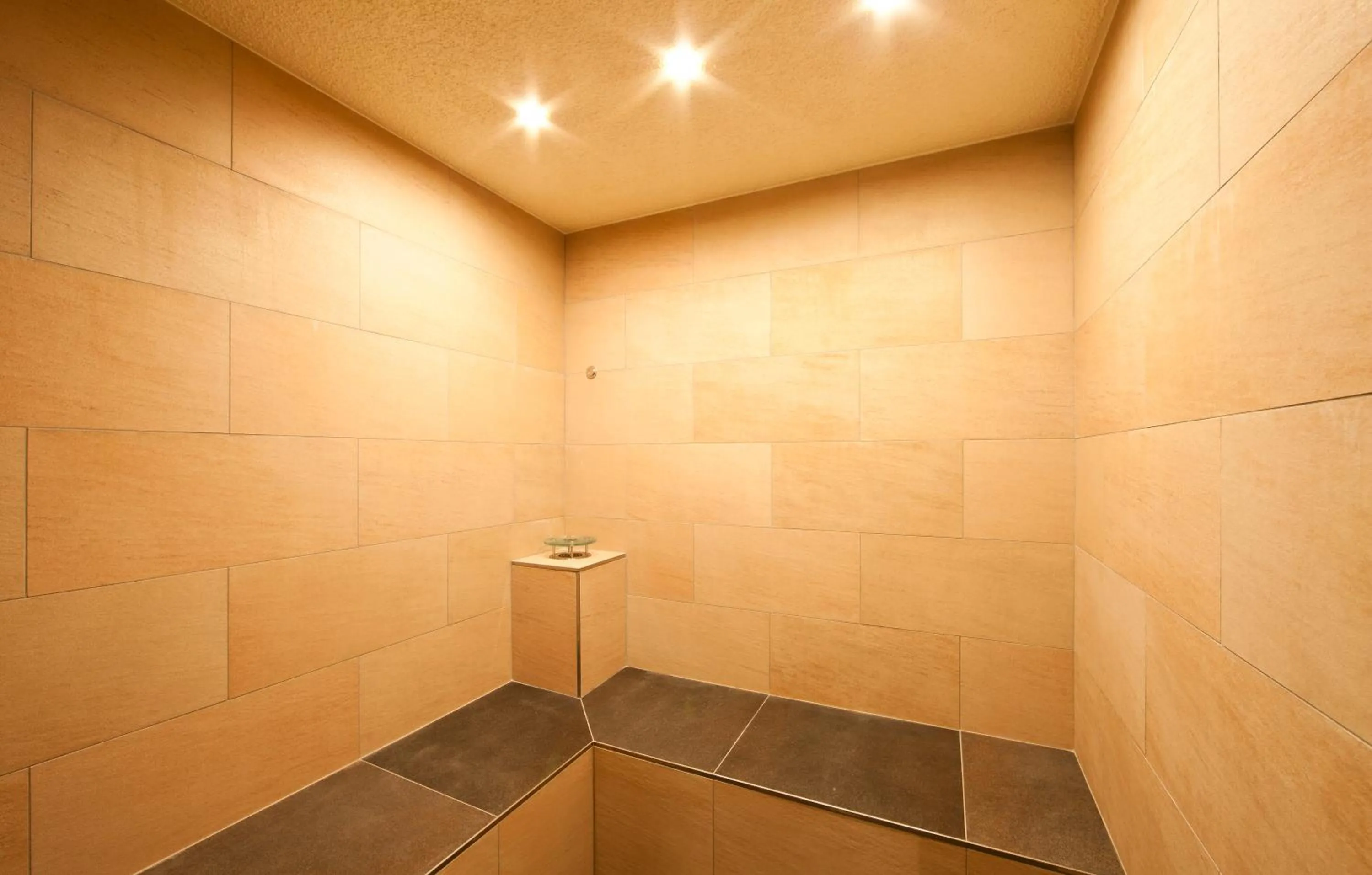 Spa and wellness centre/facilities in Hotel Falken