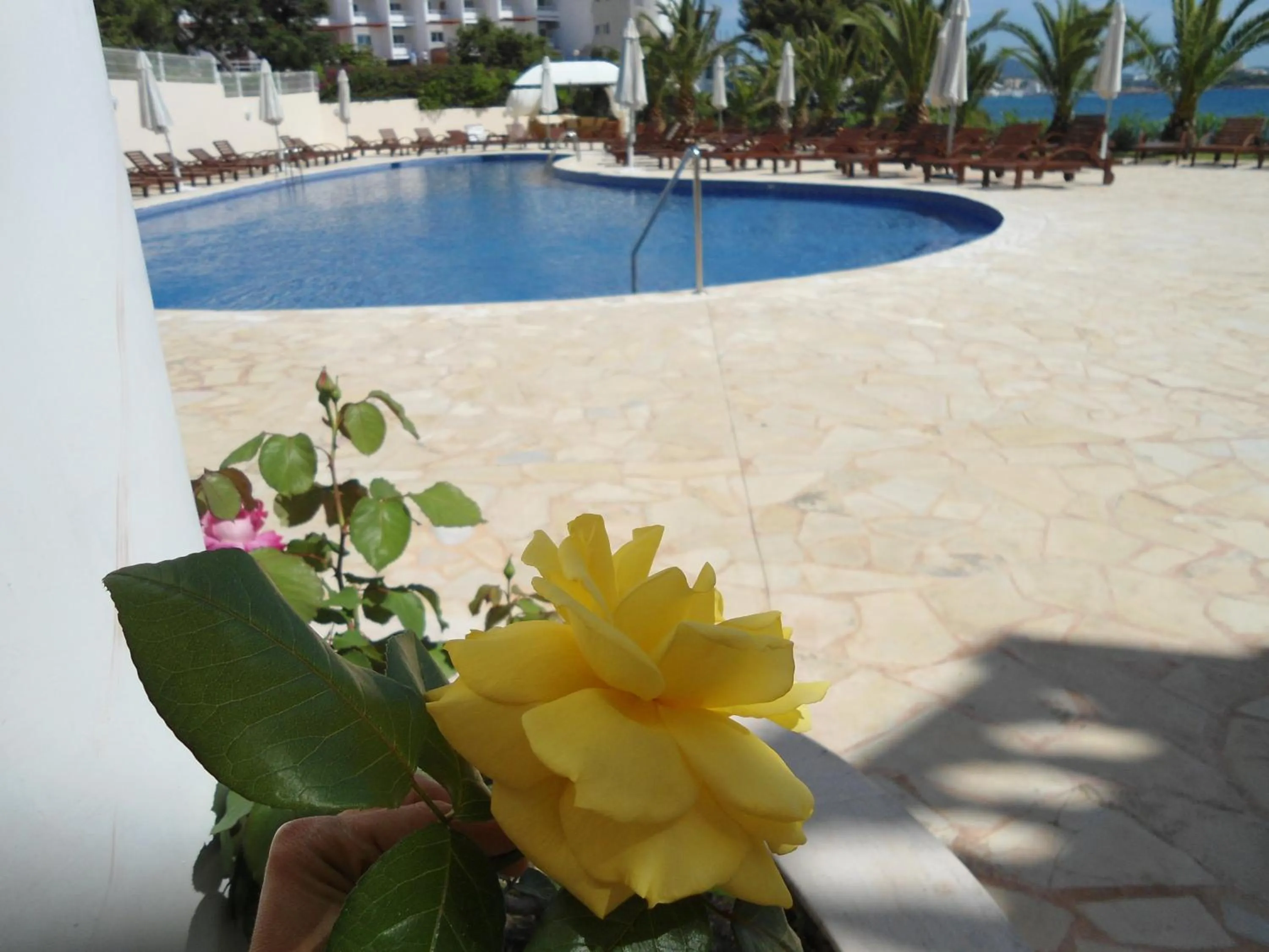 Decorative detail in Grand Hotel Palladium Santa Eulalia del Río