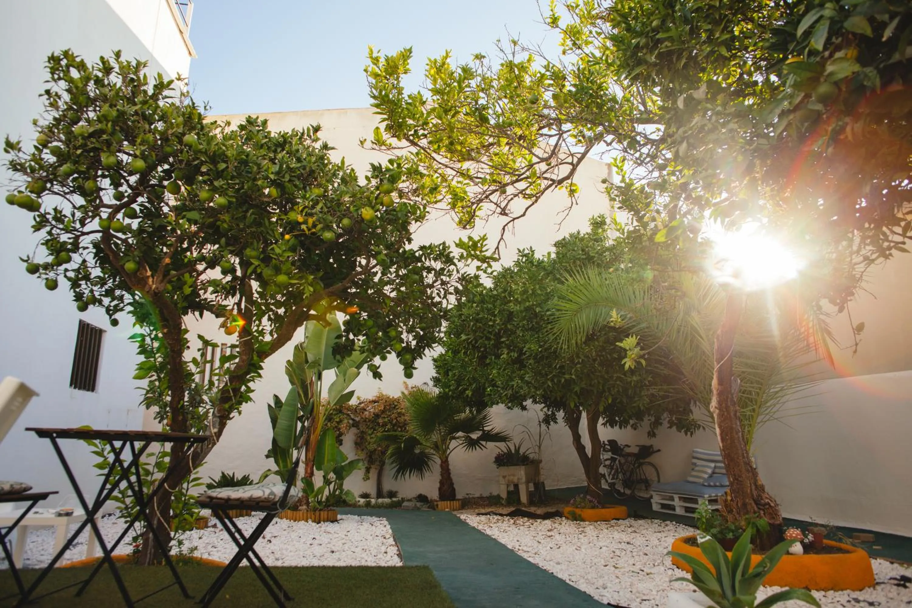 Garden in Orange3 Hostel