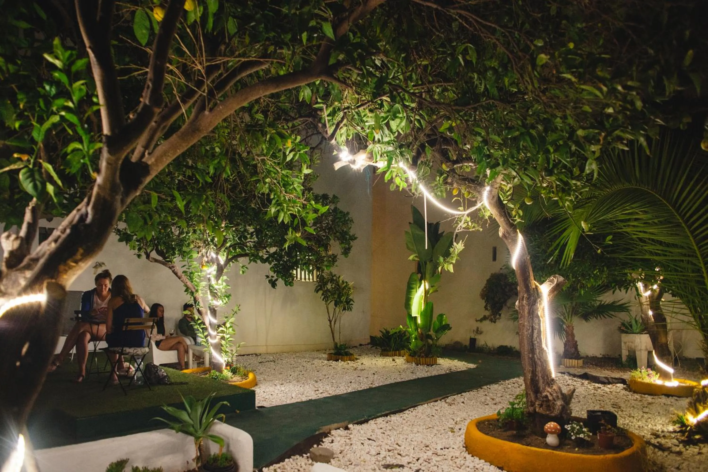 Garden in Orange3 Hostel