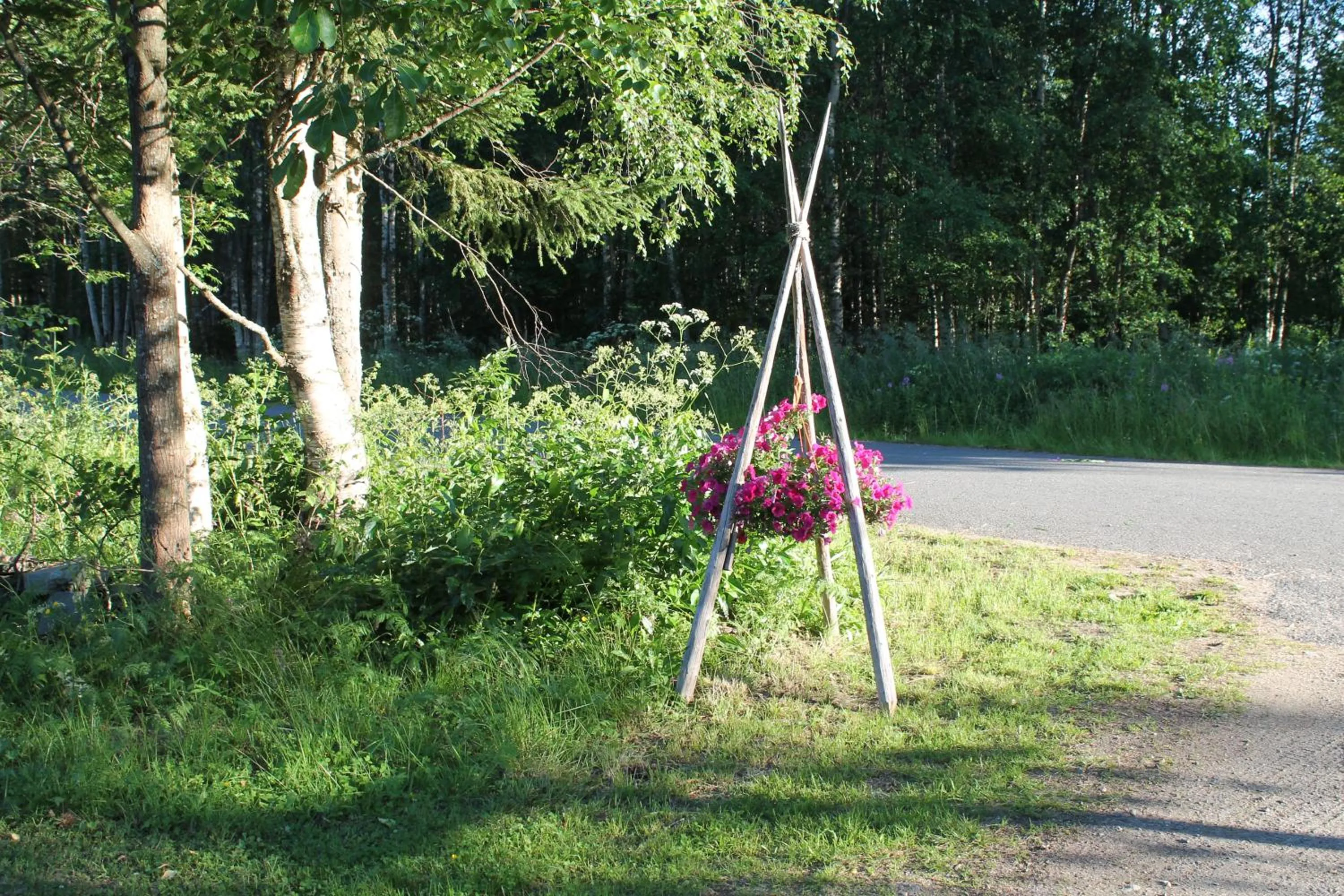 Garden in Villa Havula