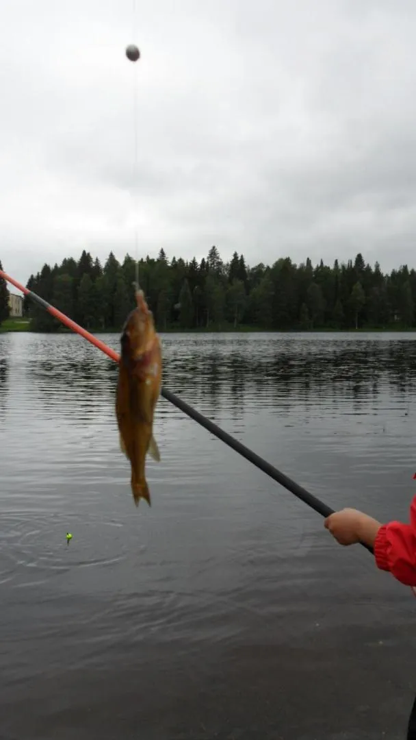 Off site in Villa Havula