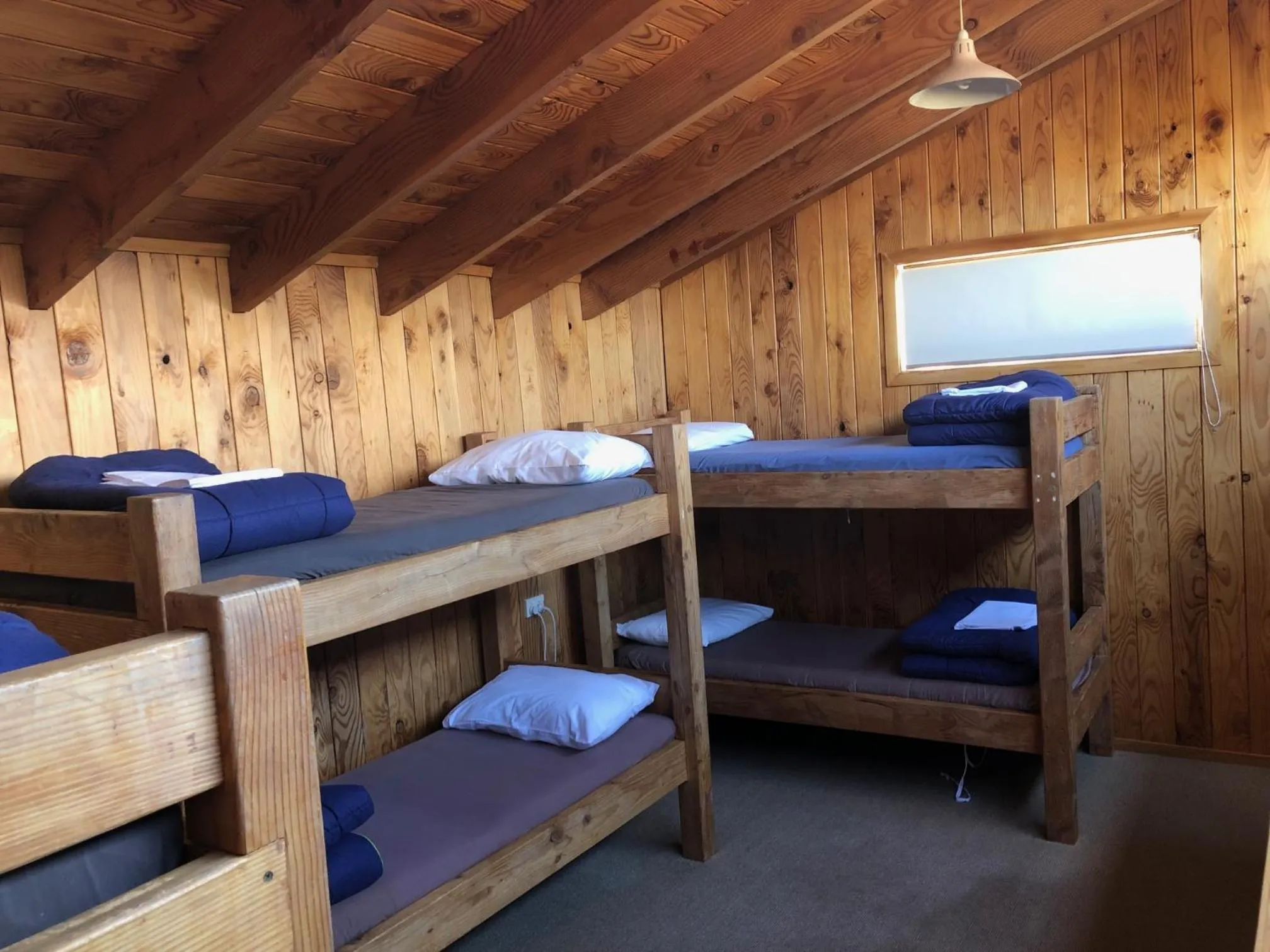 bunk bed, Bed in Alpine Motel