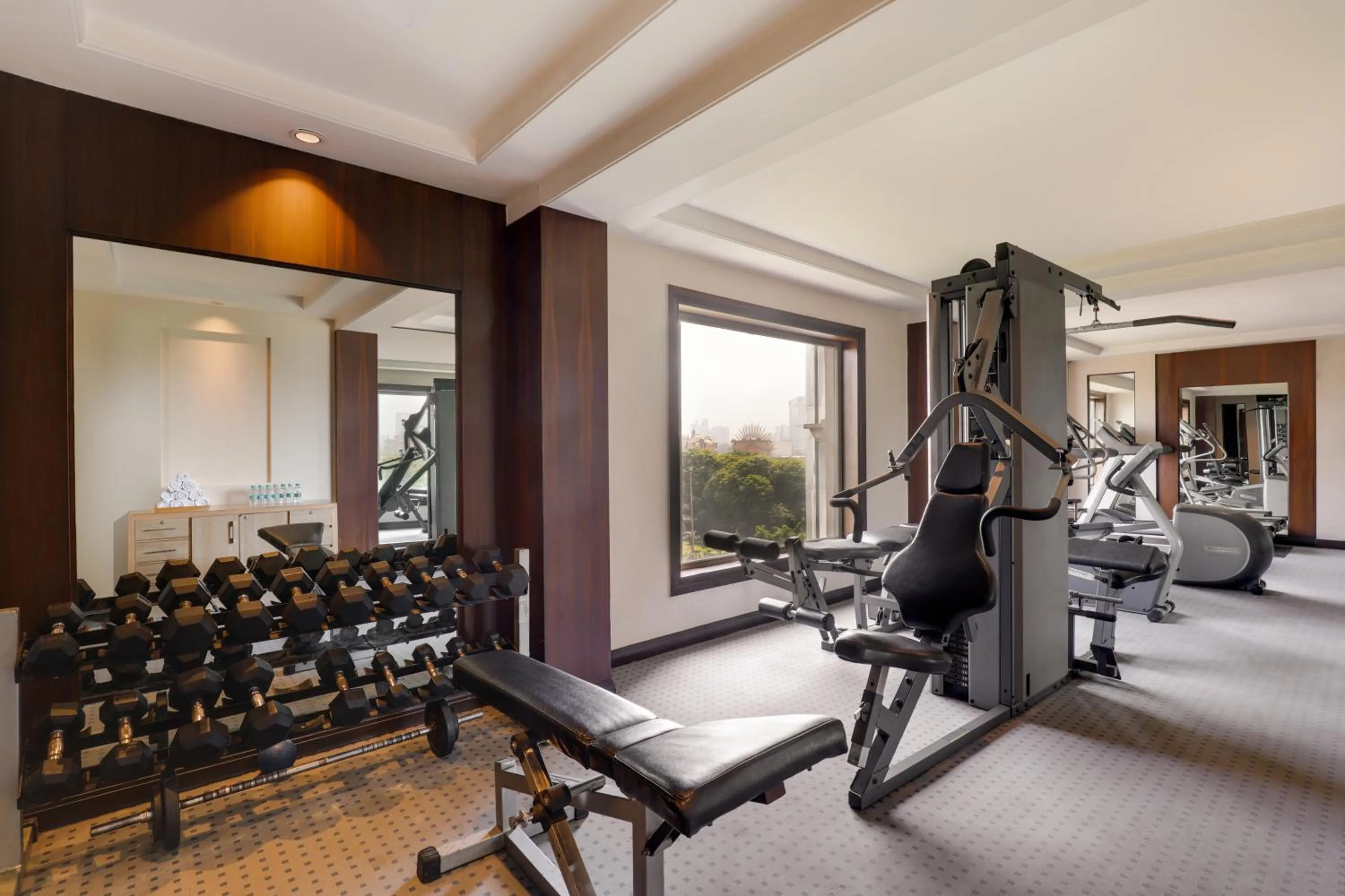 Fitness centre/facilities in Lemon Tree Premier 2, Sector 29 Gurugram