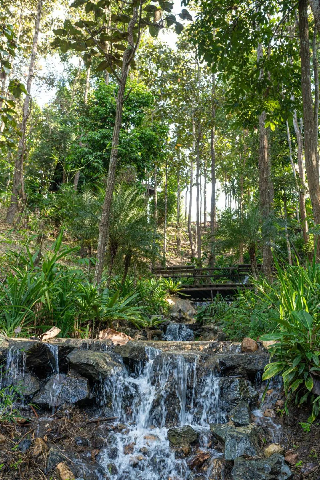 Natural landscape in Jirung Health Village
