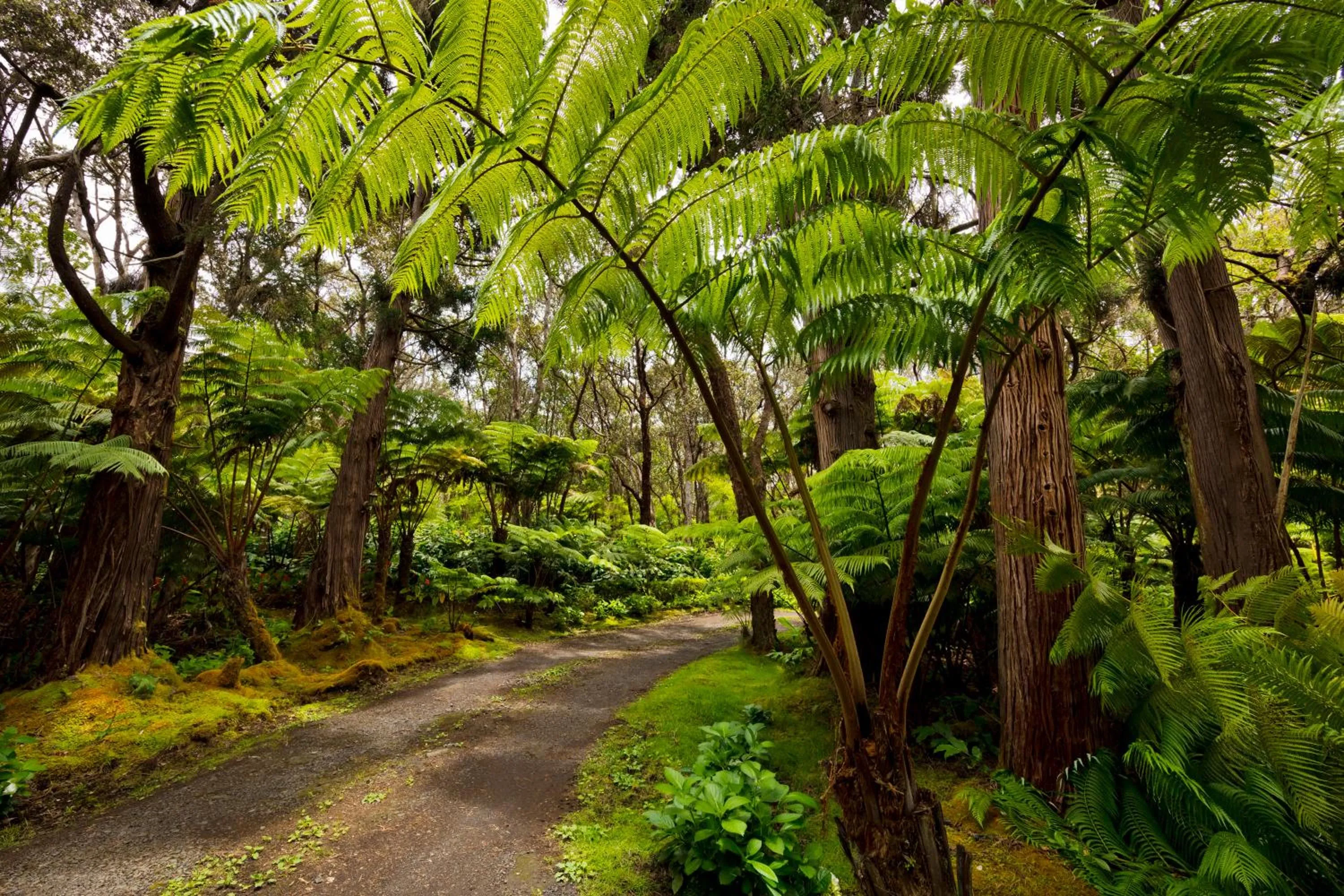 On site in Hale 'Ohu Bed & Breakfast