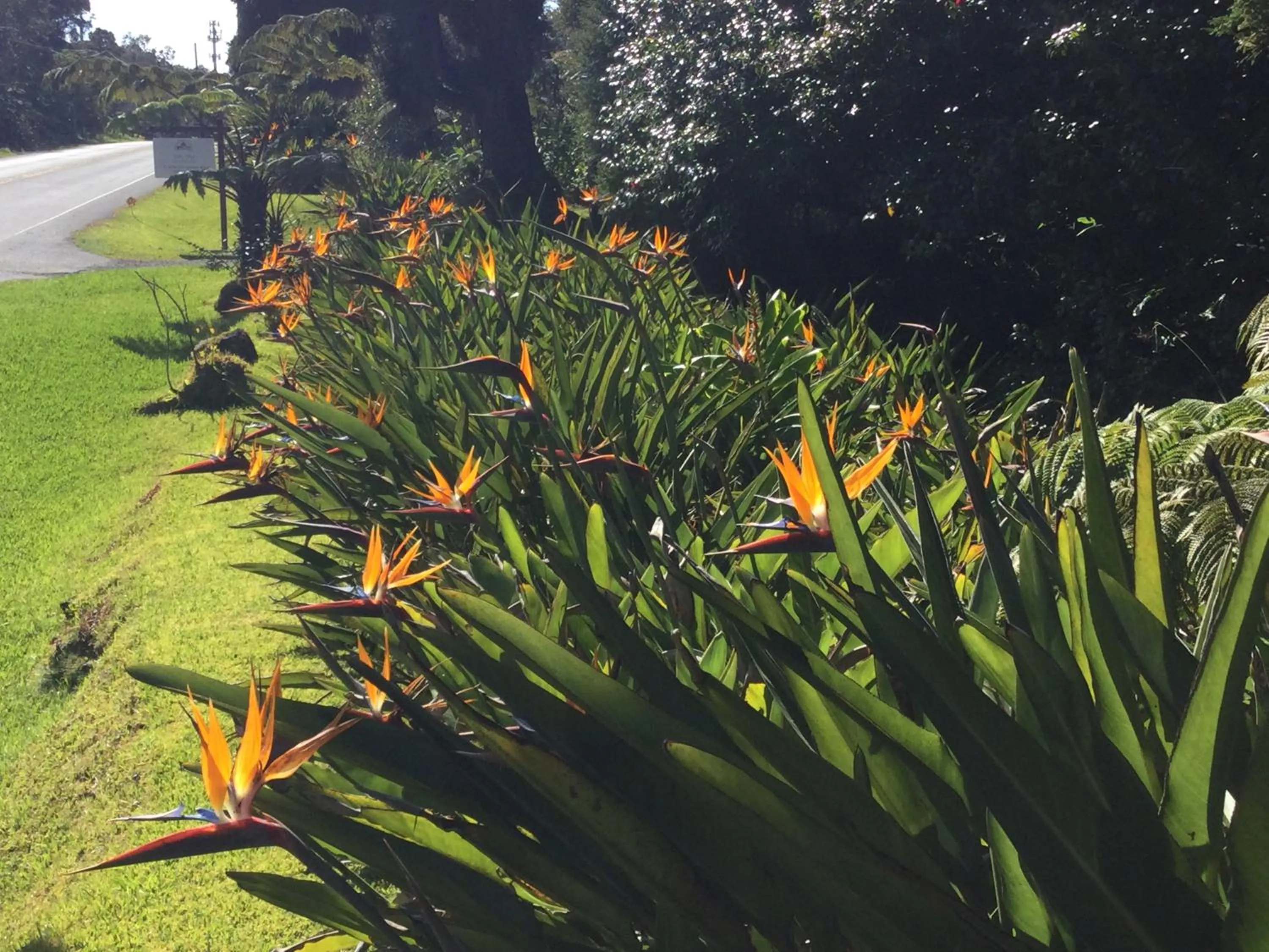 Facade/entrance in Hale 'Ohu Bed & Breakfast