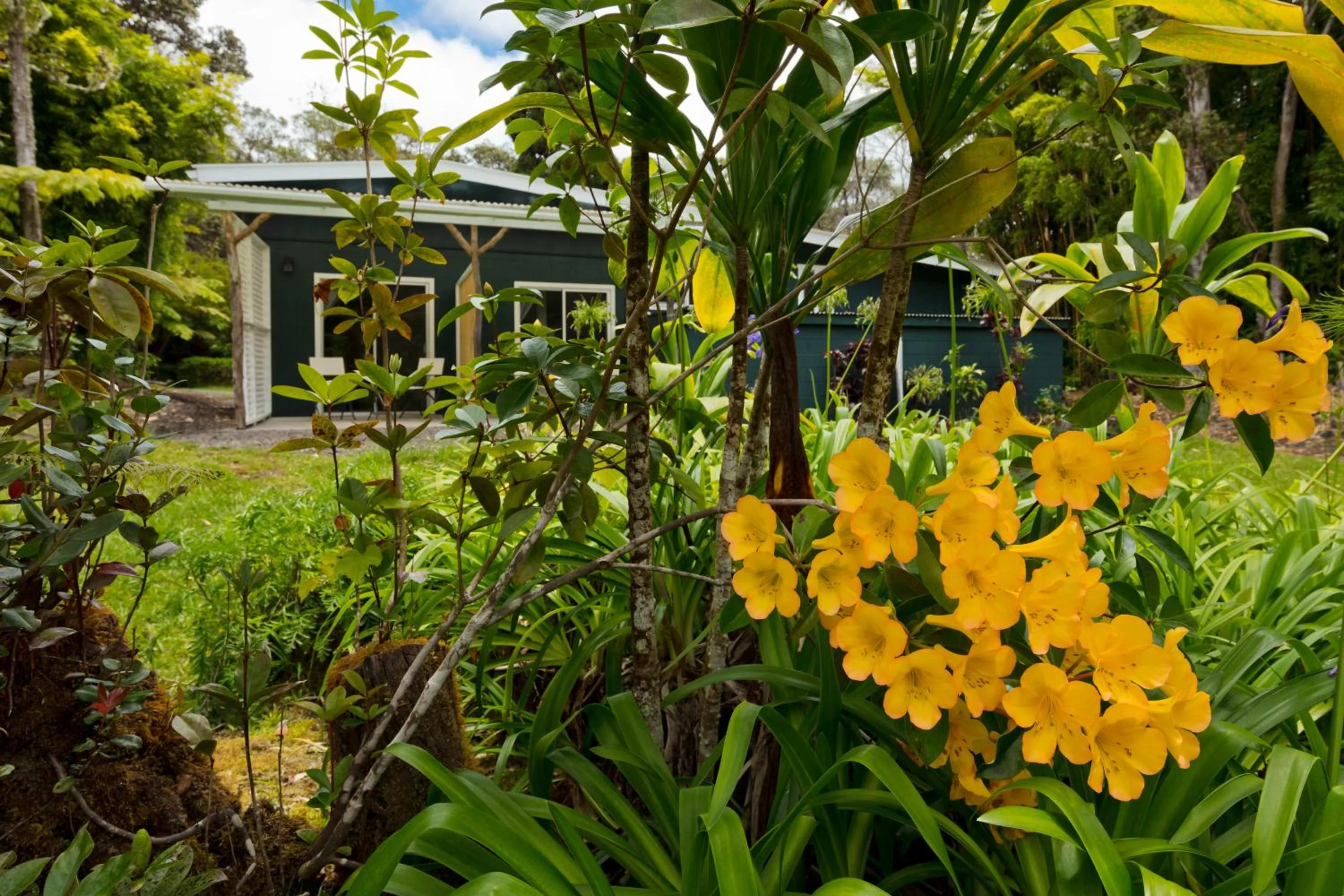 Property building in Hale 'Ohu Bed & Breakfast