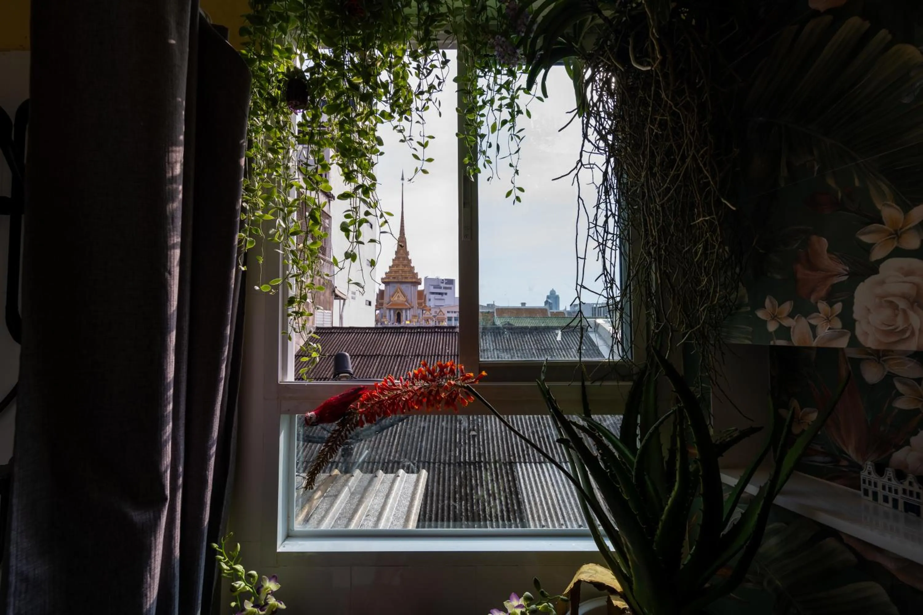 View (from property/room) in The Unforgotten B&B