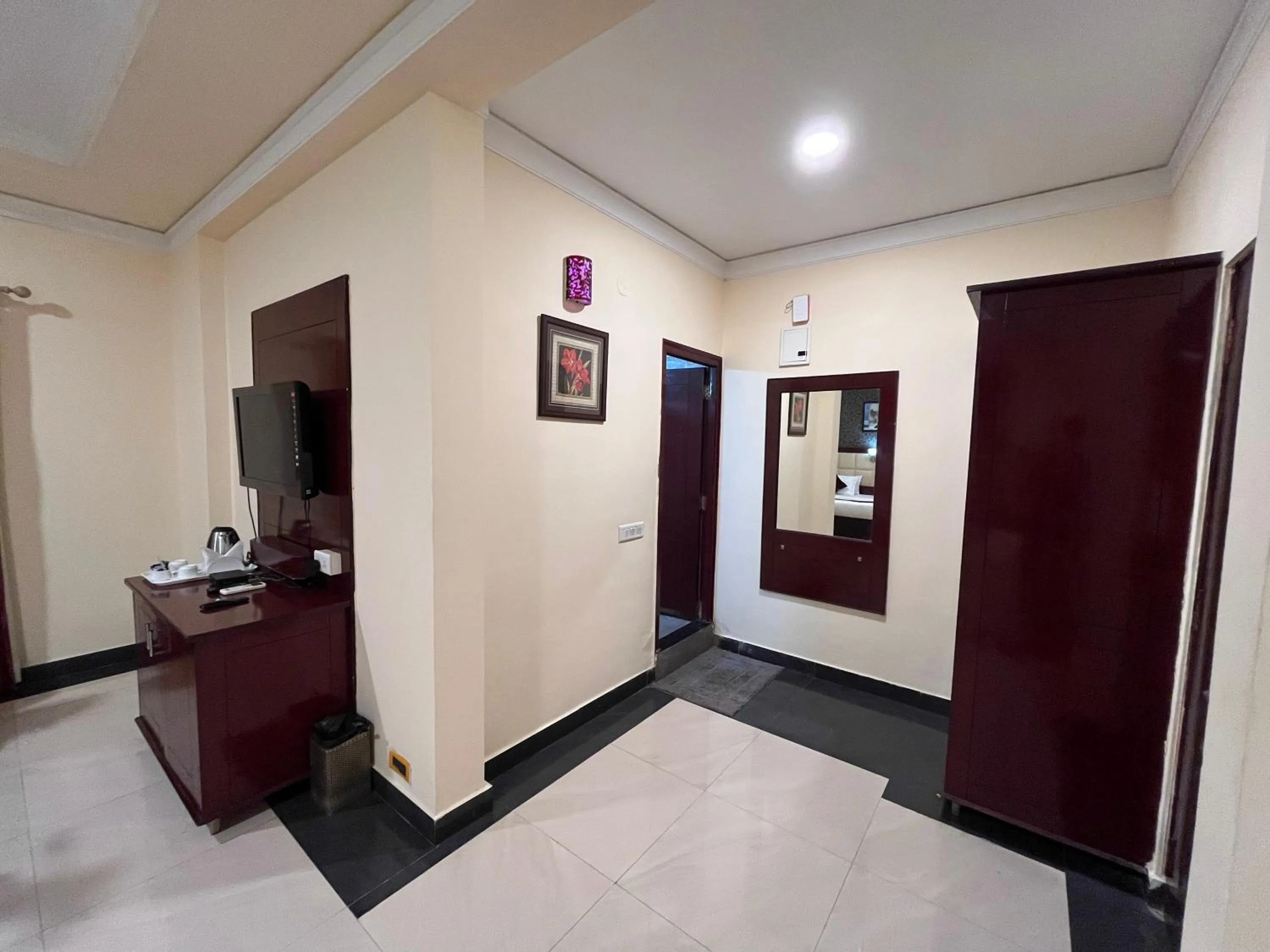 TV and multimedia in Ananya Comfortss