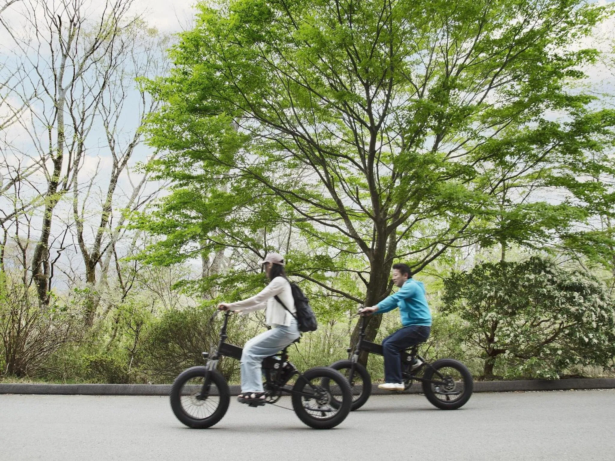 Activities in Hakone Retreat villa 1f