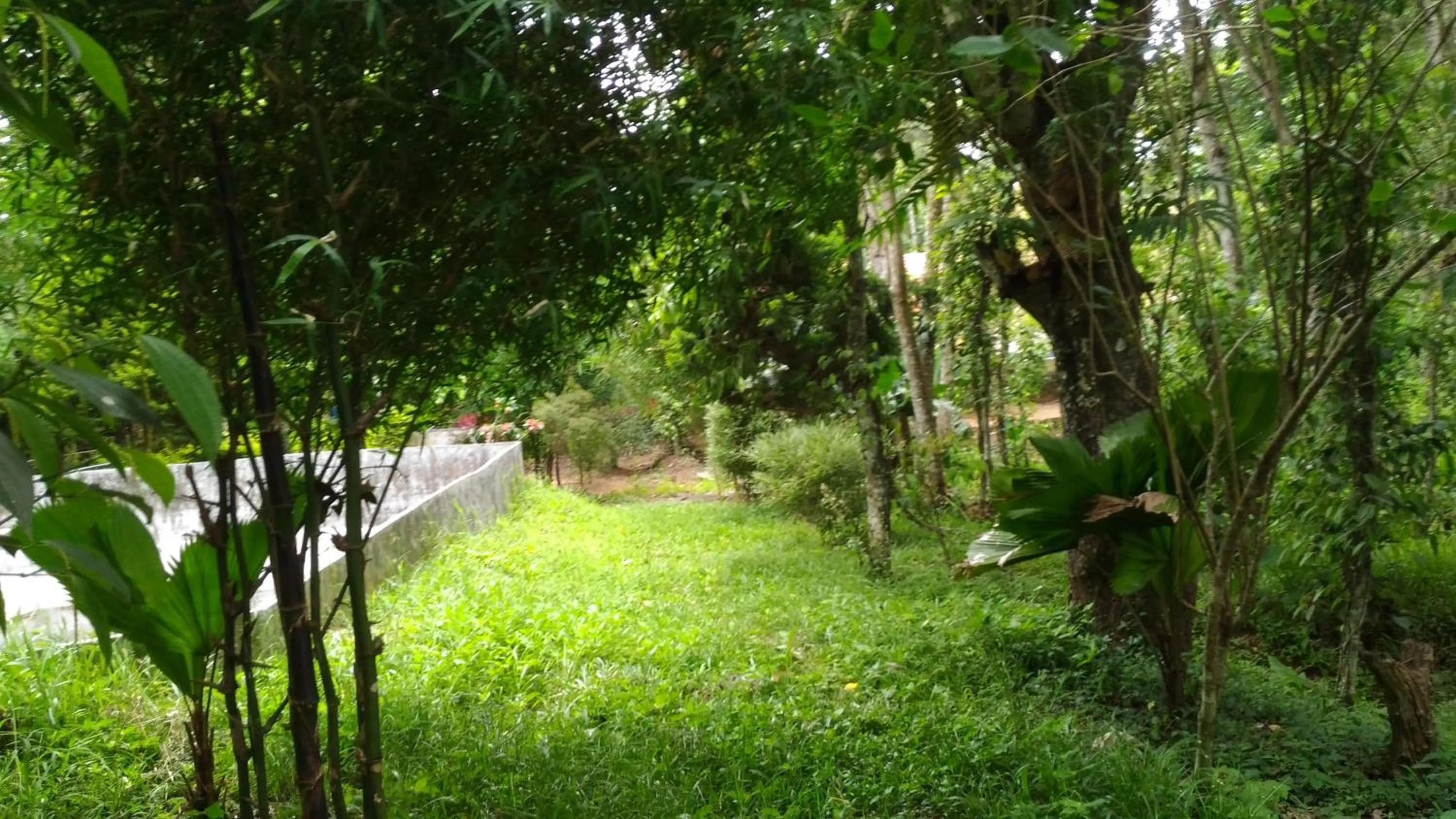 Philip Mary Farm Stay