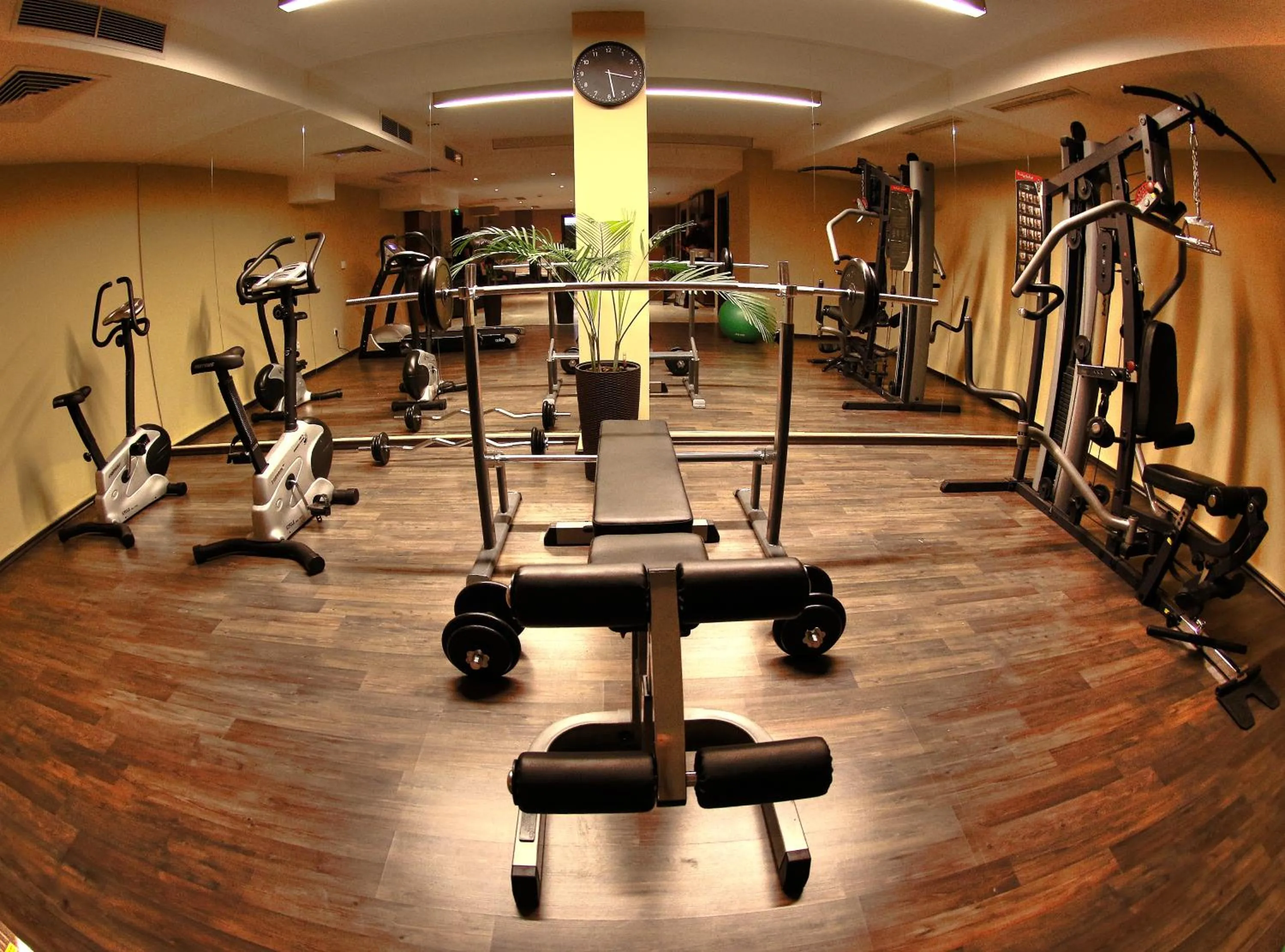 Fitness centre/facilities in Radina's Way Hotel