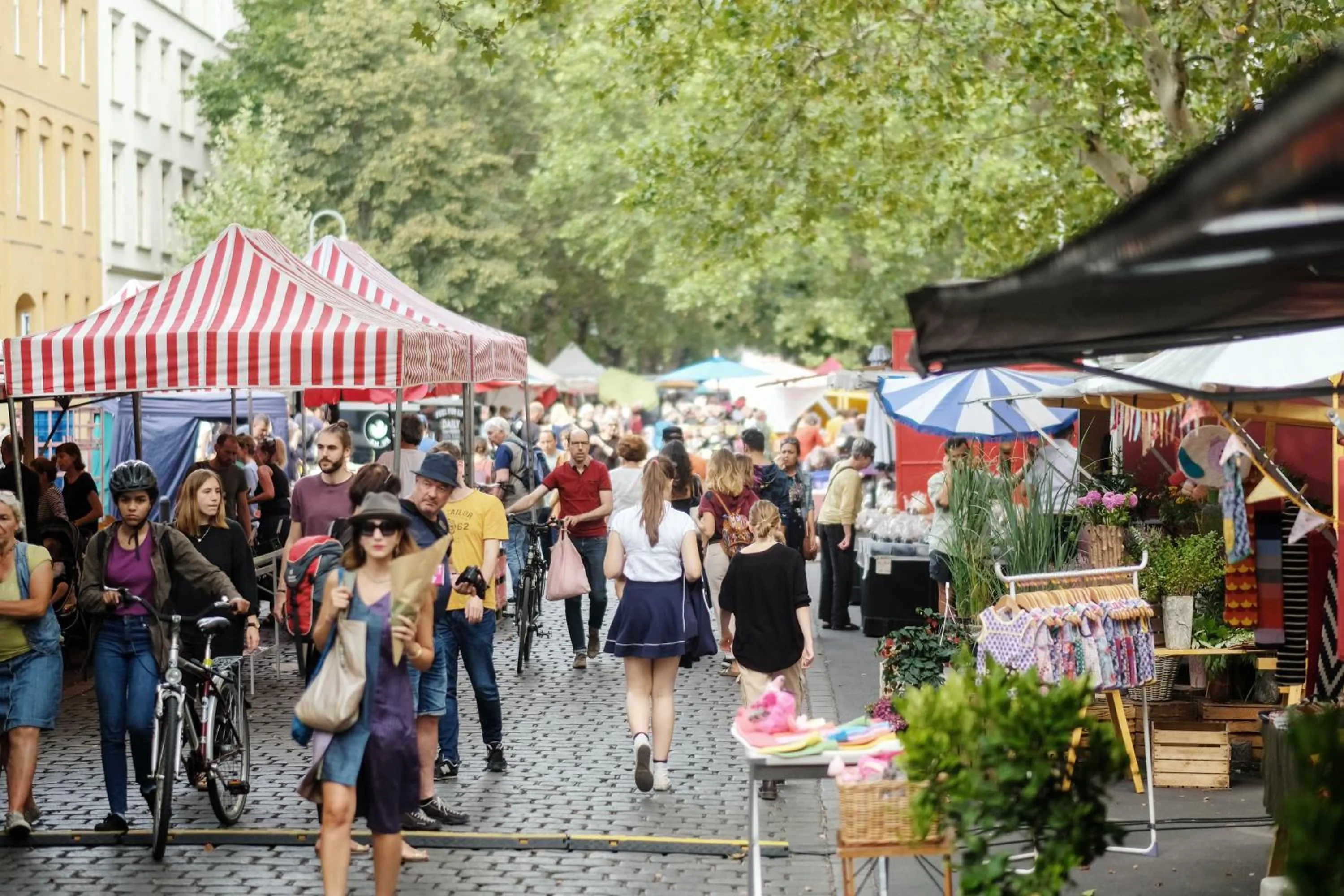 Neighbourhood in Pfefferbett Hostel