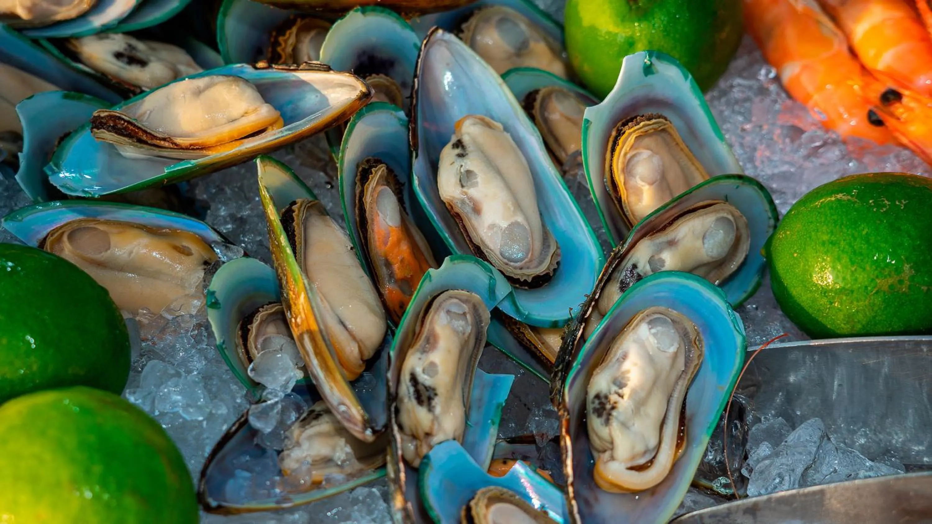 Food and drinks in Shenzhen Marriott Hotel Golden Bay