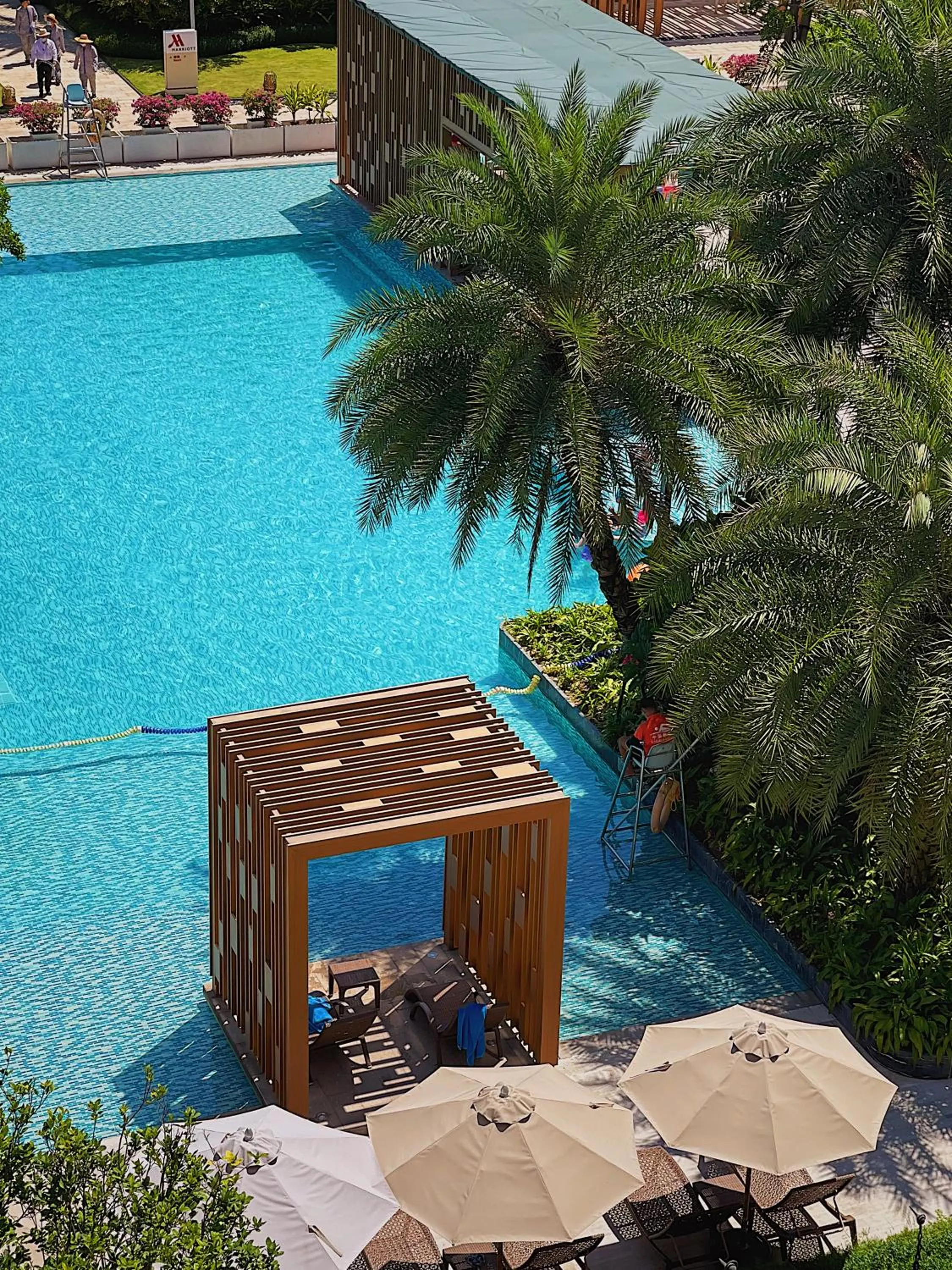 Garden in Shenzhen Marriott Hotel Golden Bay