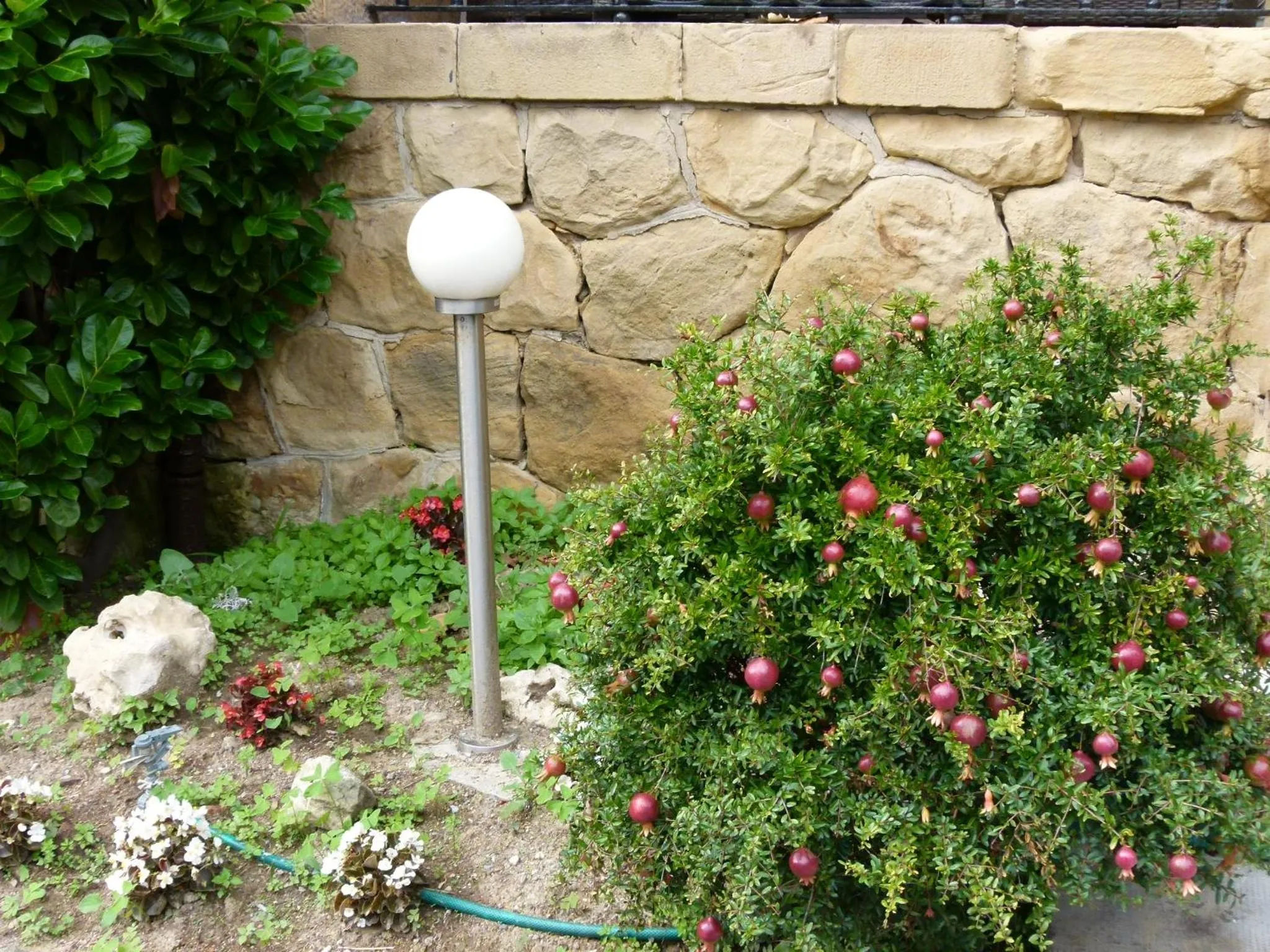 Garden in Hotel Neguri
