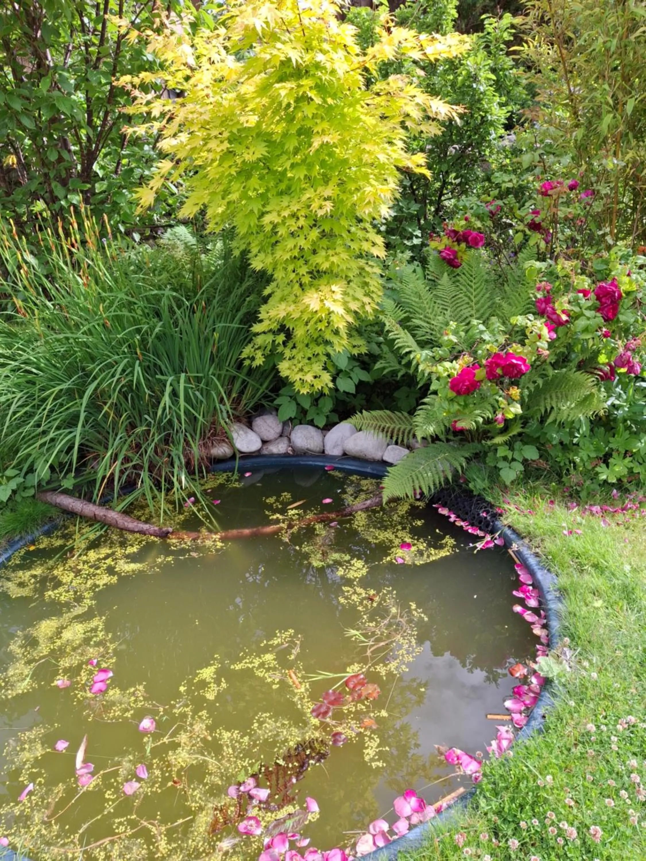 Garden in Aberlour Cottages - Bolthole & Retreat