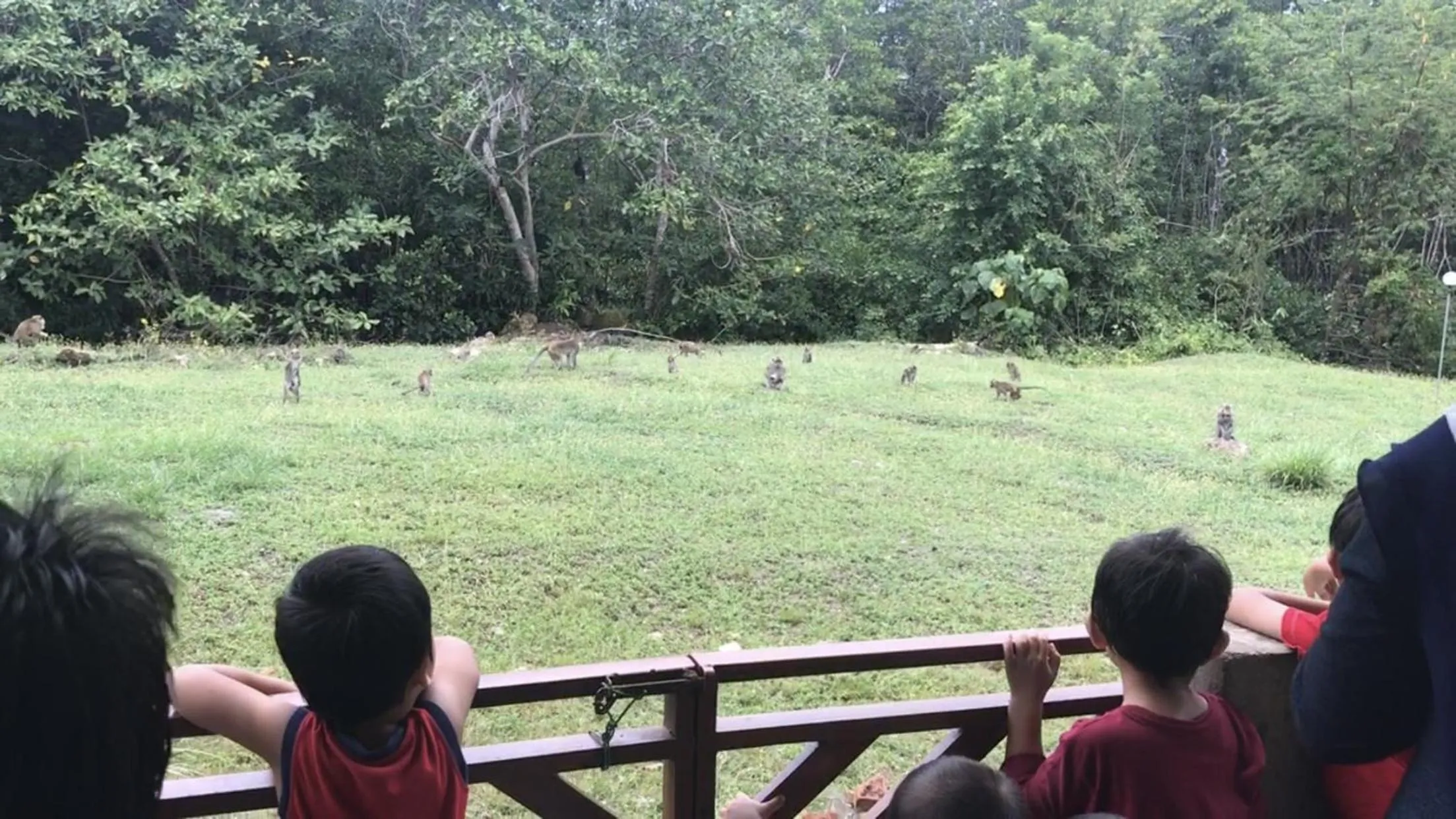 Garden in RTMS Guesthouse Semporna