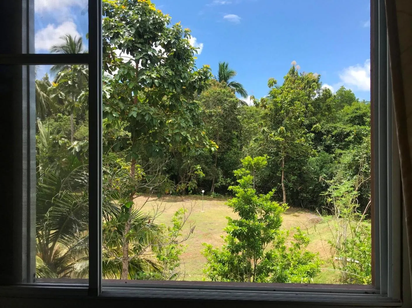 Garden view in RTMS Guesthouse Semporna