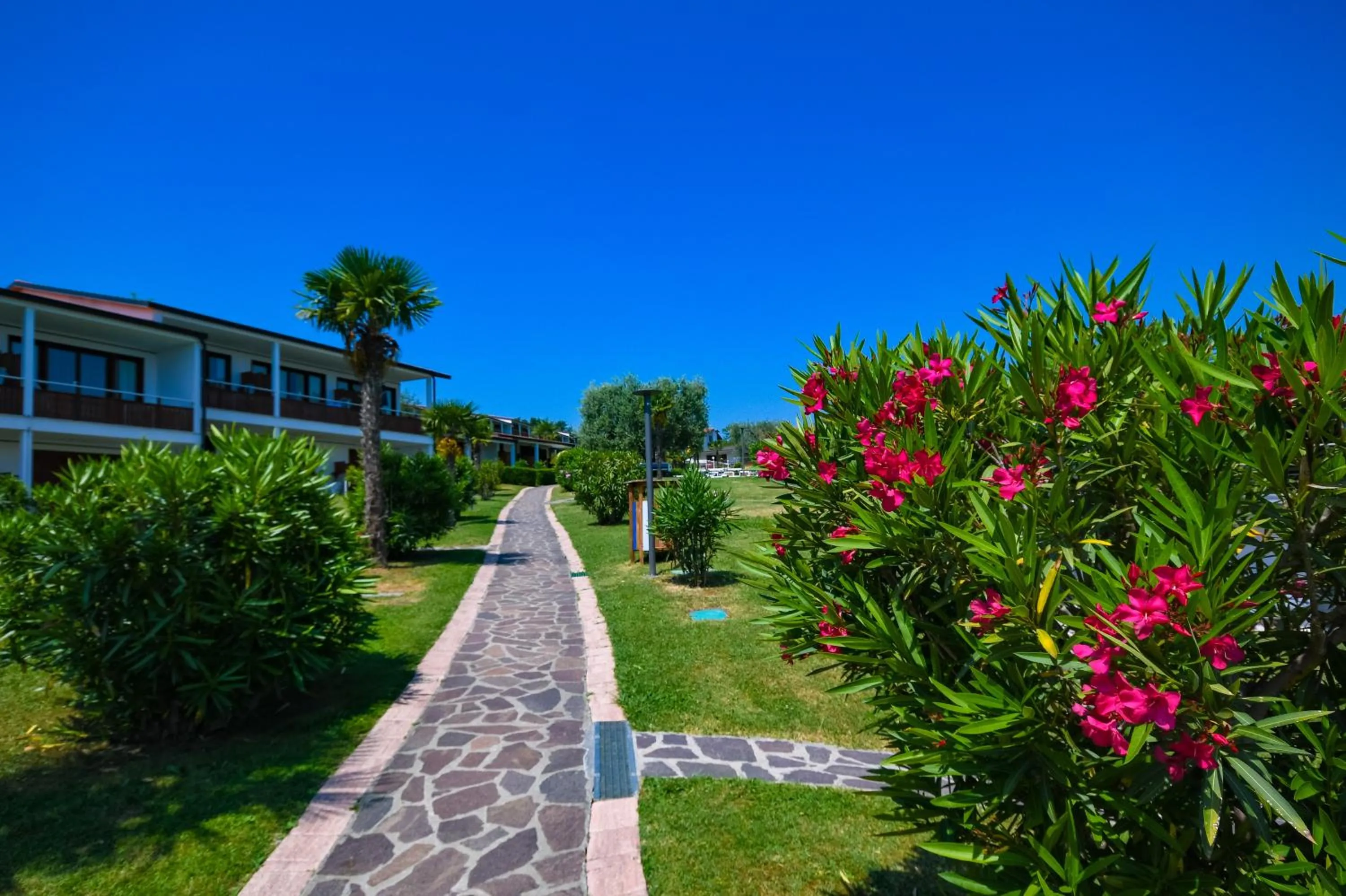 Garden in Apparthotel San Sivino