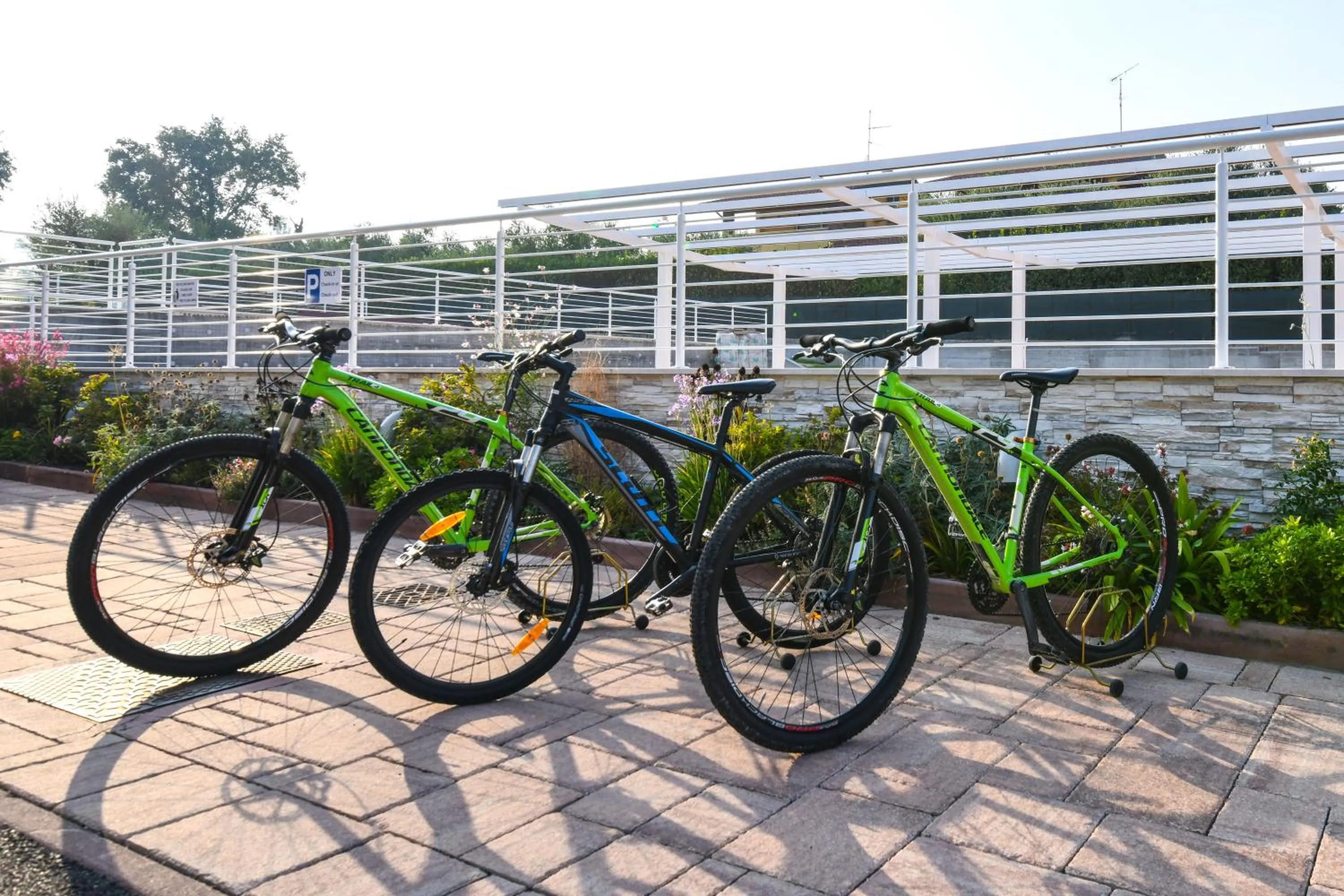 Cycling in Apparthotel San Sivino