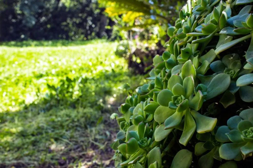Property building in Hotel La Margherita