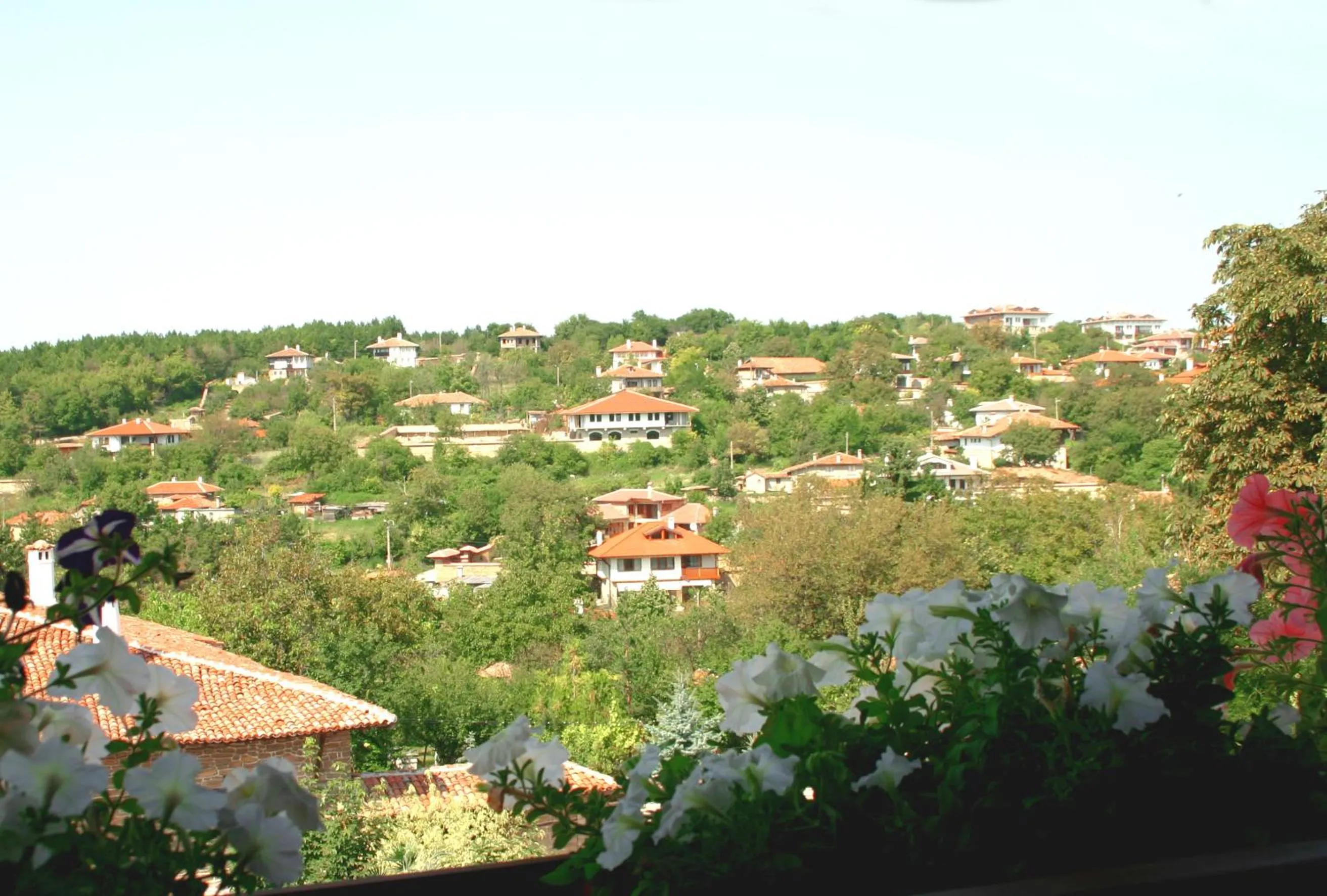 Area and facilities in Hotel Izvora - Garden Retreat