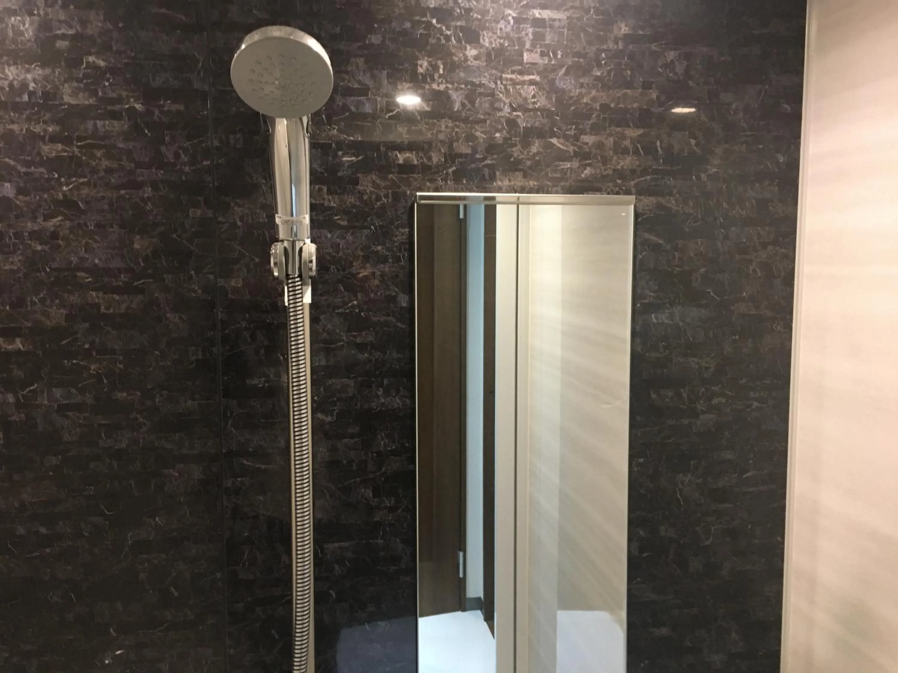 Shower, Bathroom in Umeda Plaza Hotel