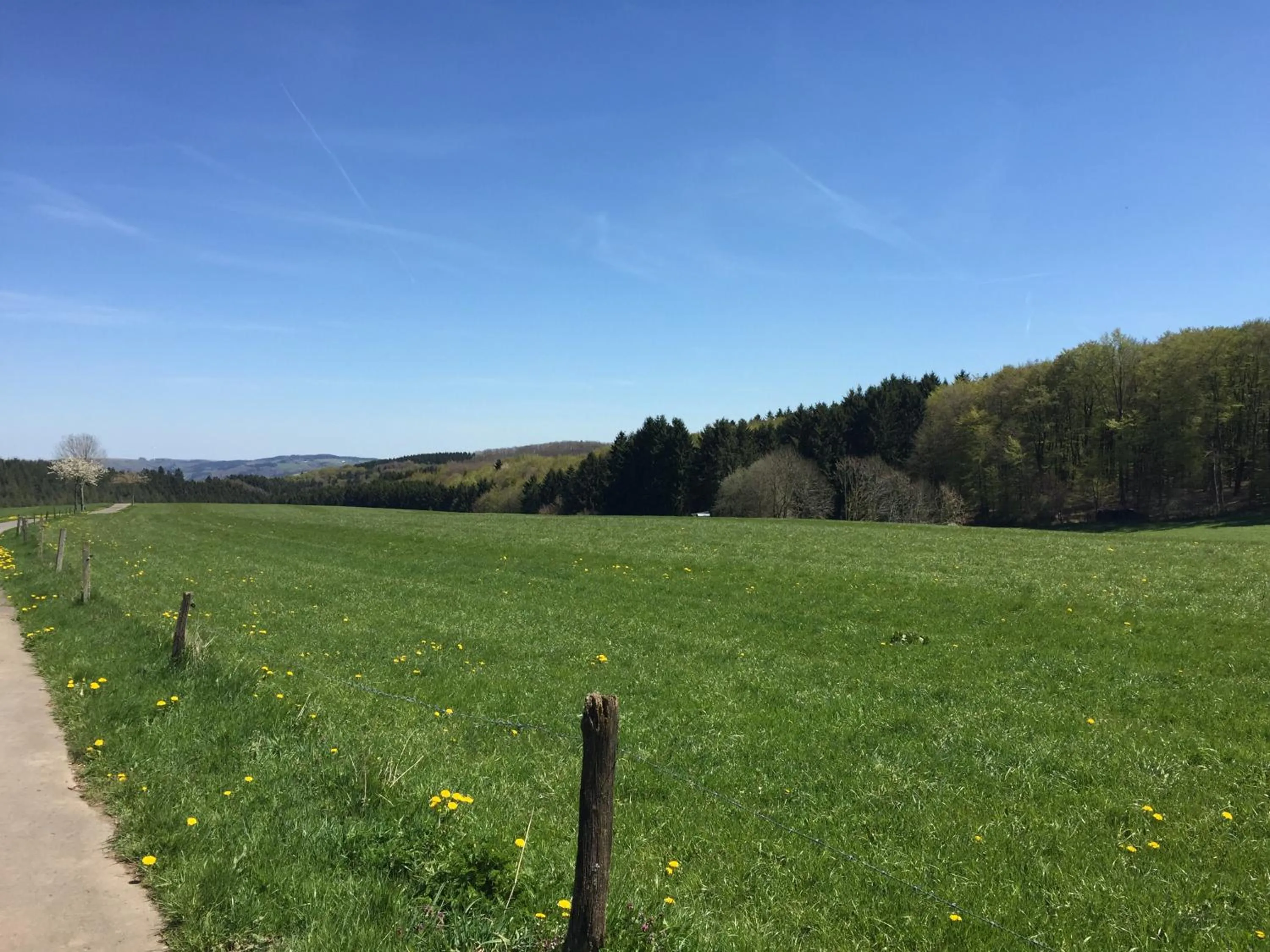 Natural landscape in Haus BuylBergh