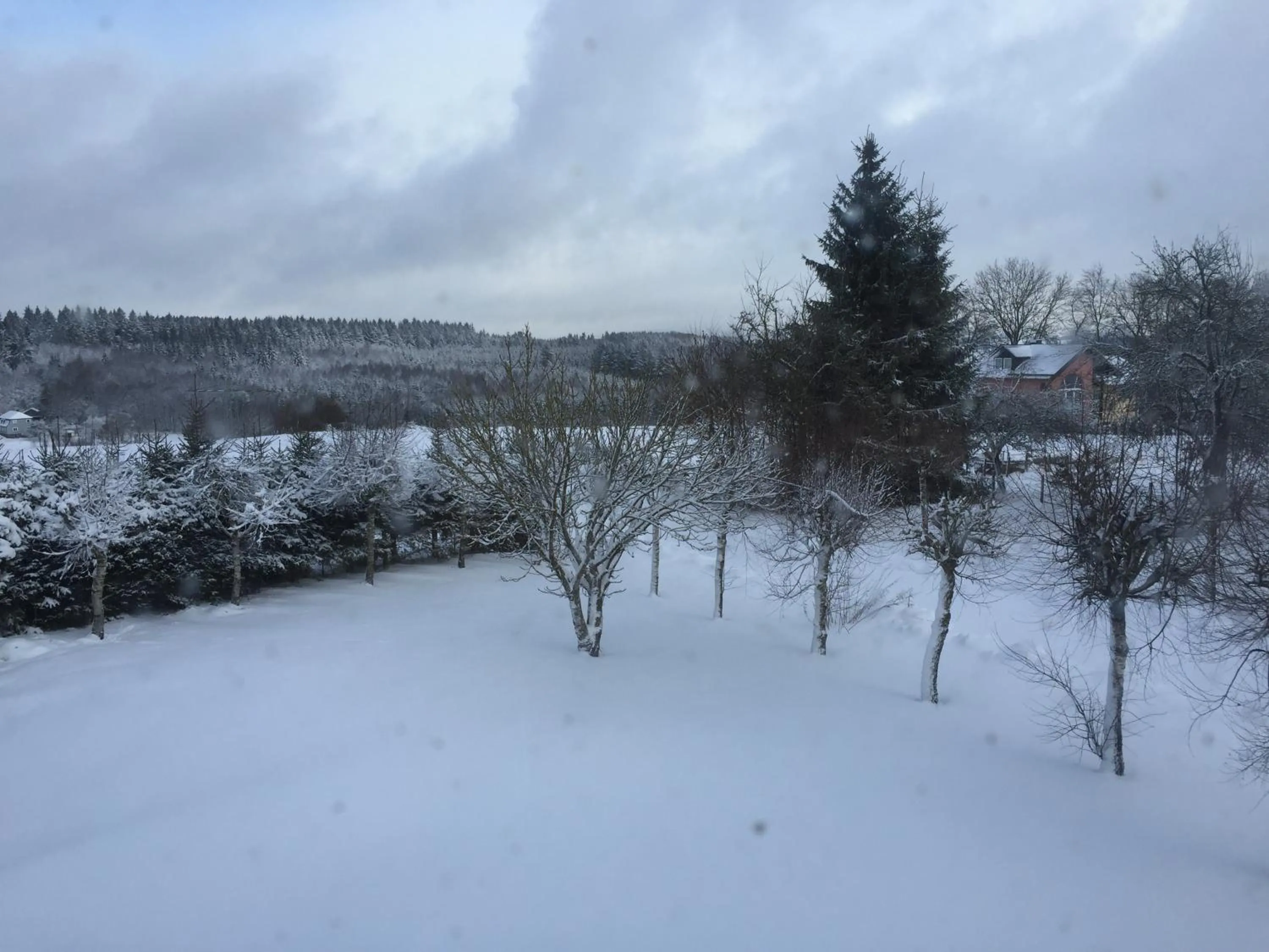 Natural landscape in Haus BuylBergh