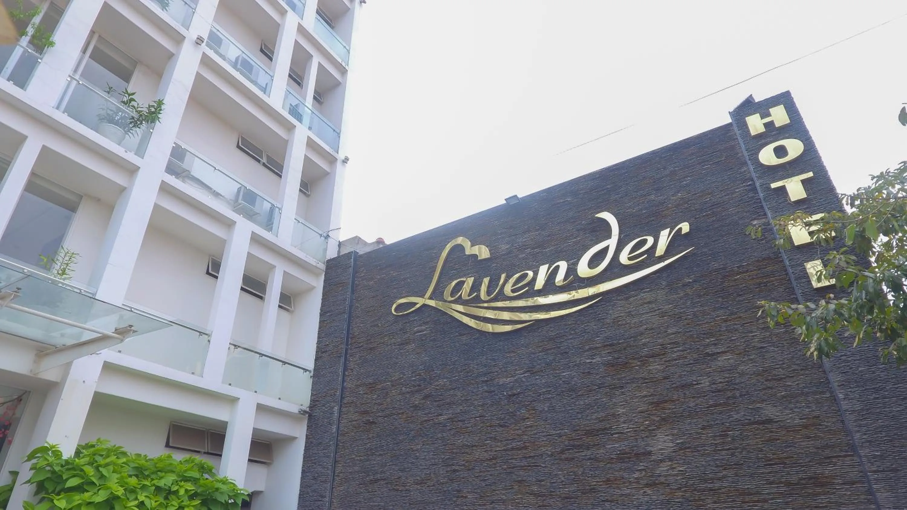 Property building in Lavender Hotel