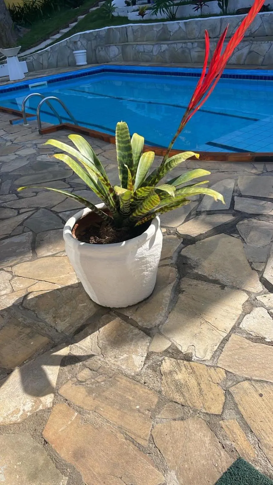 Day in Pousada Saint Germain