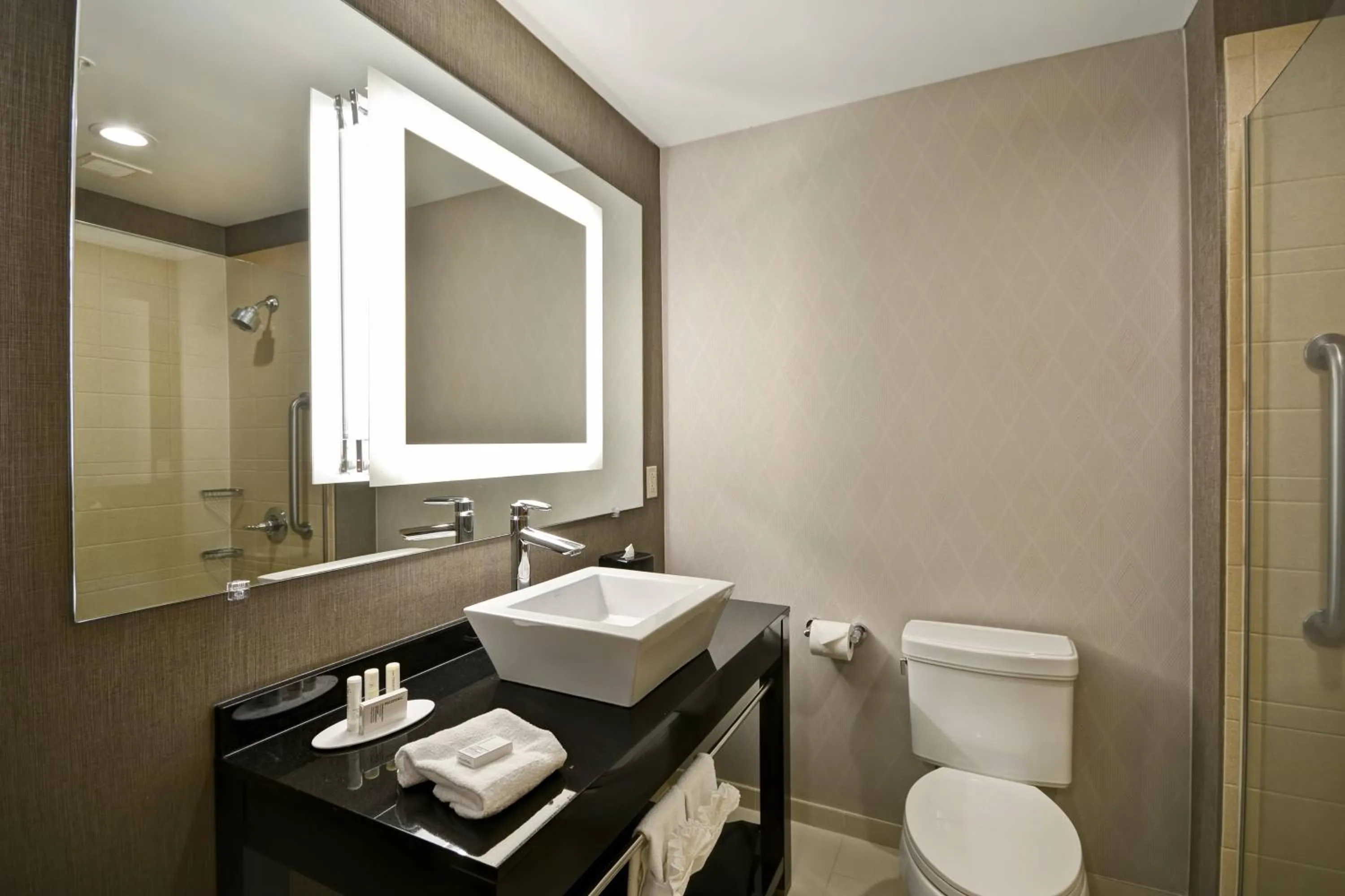 Bathroom in SpringHill Suites by Marriott Indianapolis Airport/Plainfield