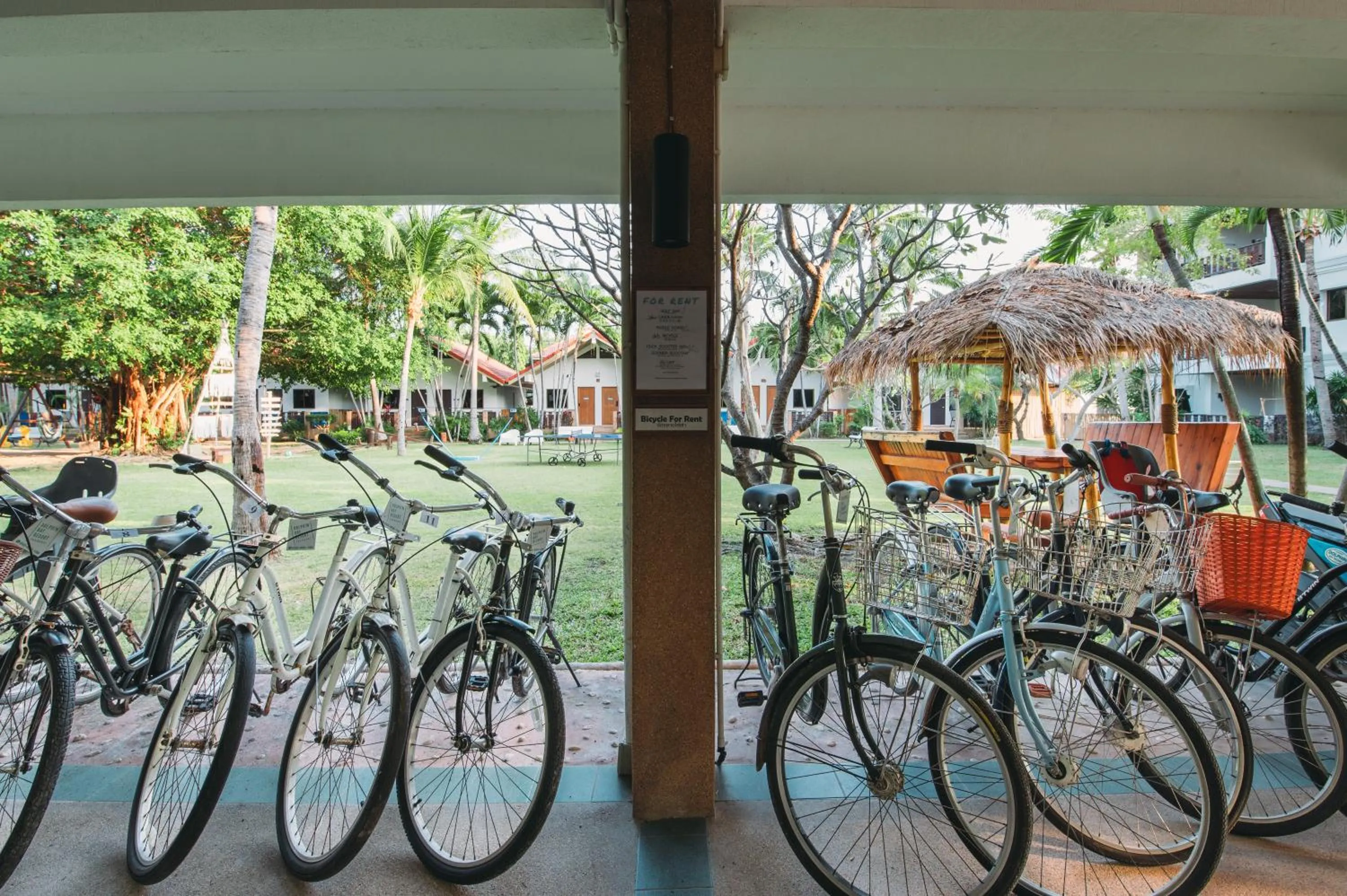 Cycling in Dolphin Bay Beach Resort