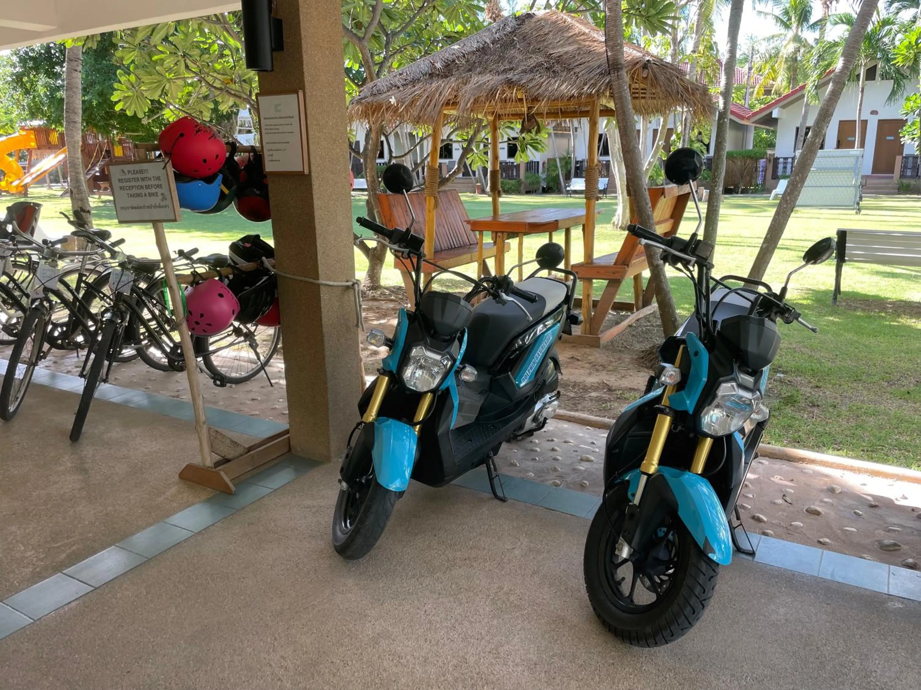 Activities in Dolphin Bay Beach Resort