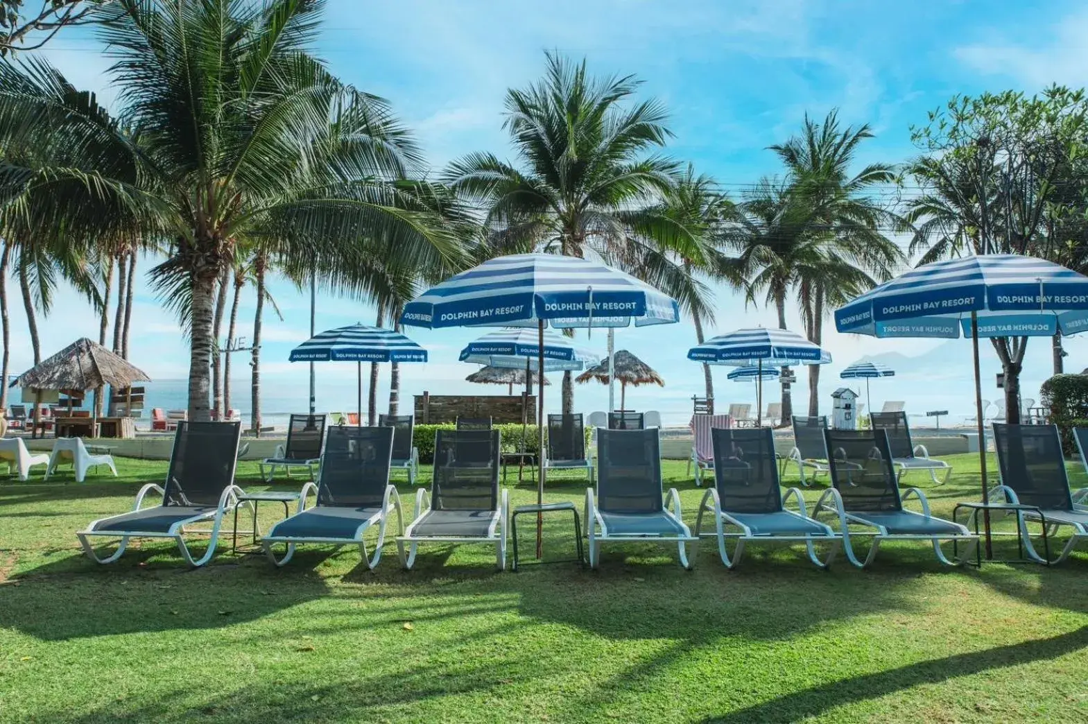 Garden view in Dolphin Bay Beach Resort Garden view in Dolphin Bay Beach Resort