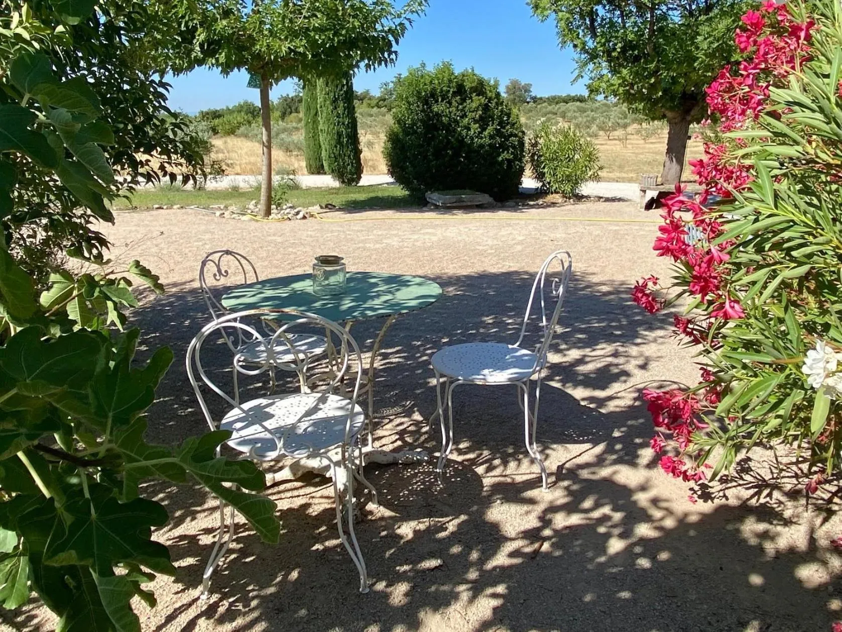 Garden in Mas des Olives